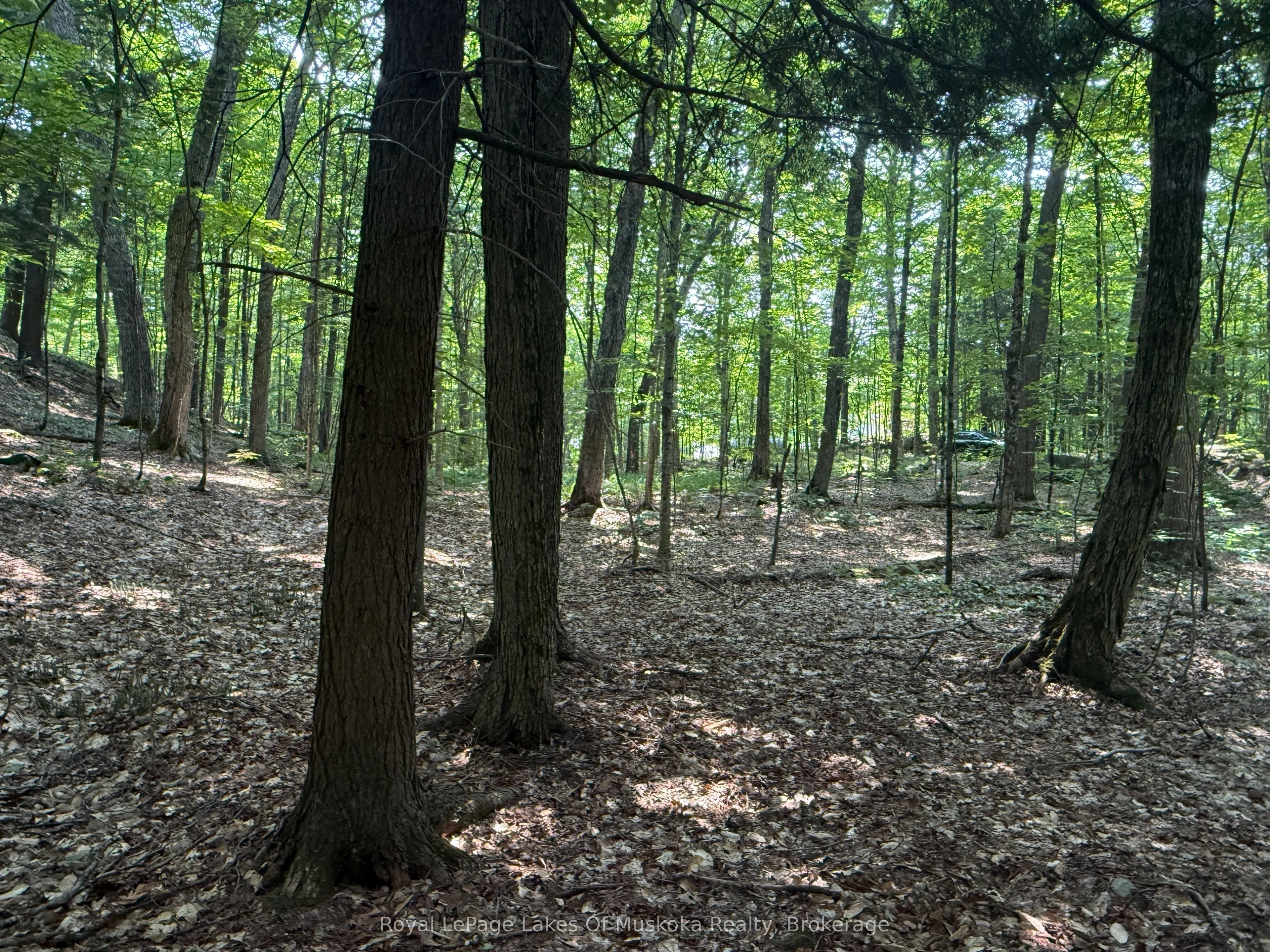 LOT 134 BRENNAN Circle