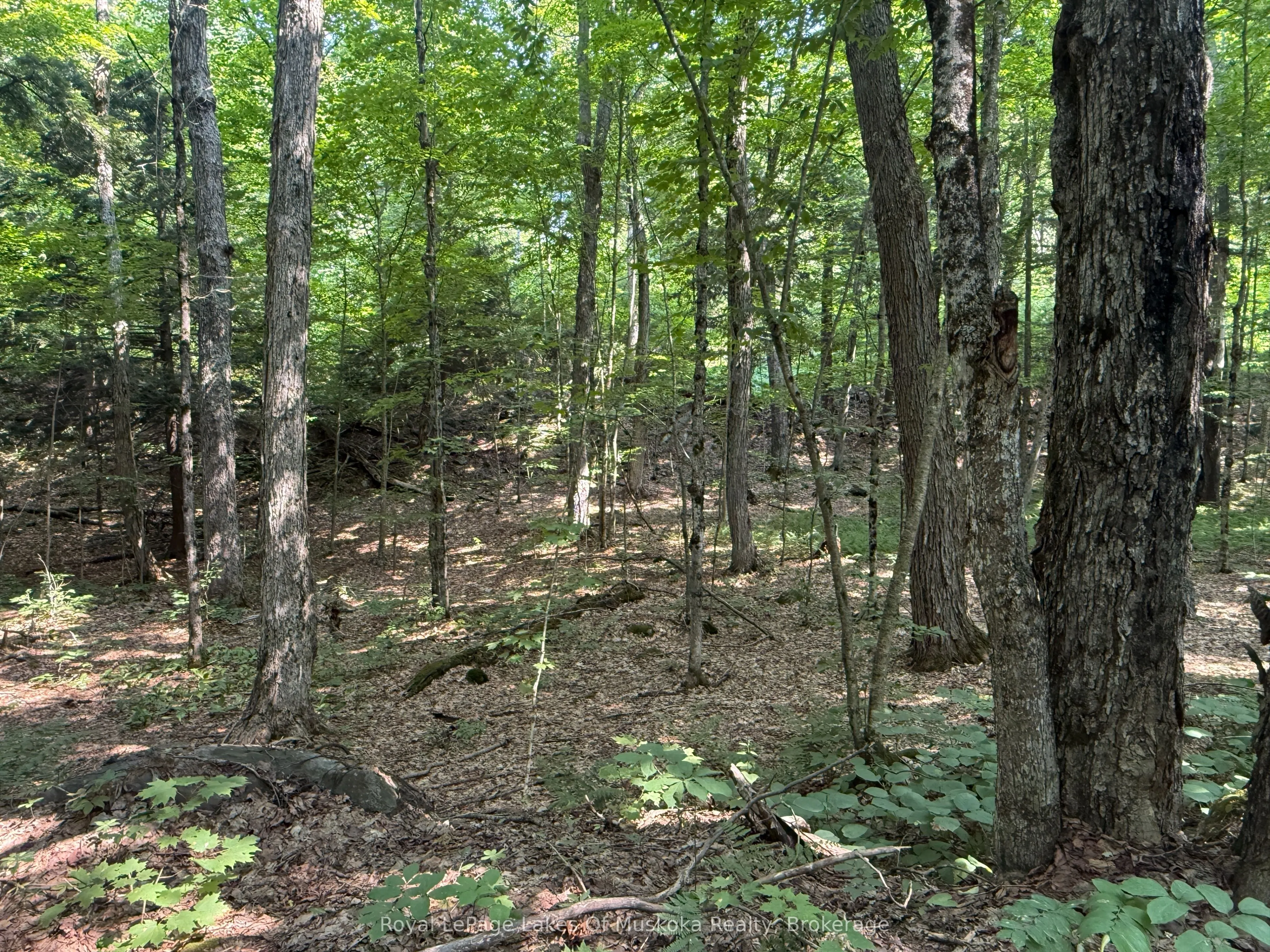 LOT 134 BRENNAN Circle