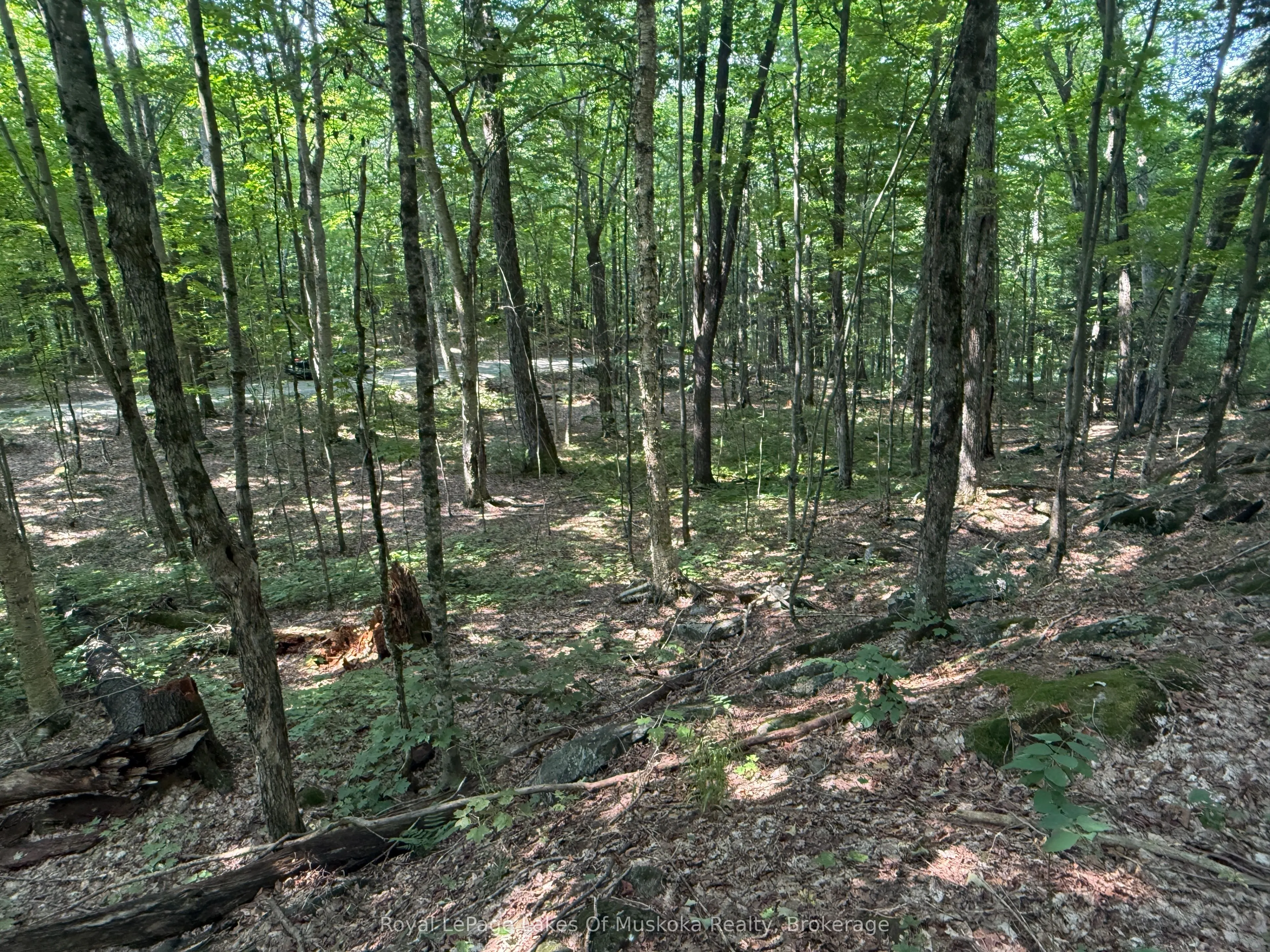 LOT 134 BRENNAN Circle