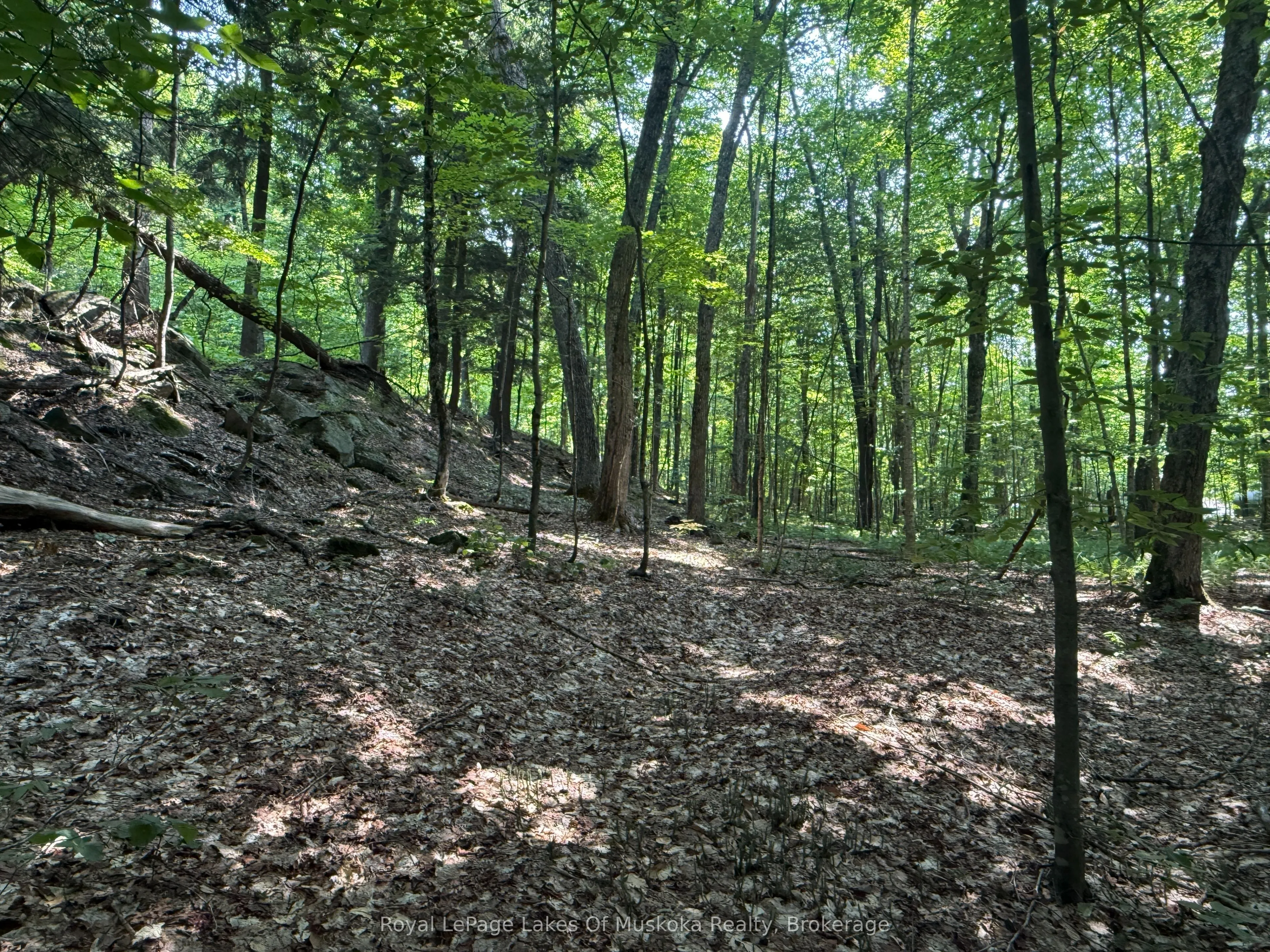 LOT 134 BRENNAN Circle