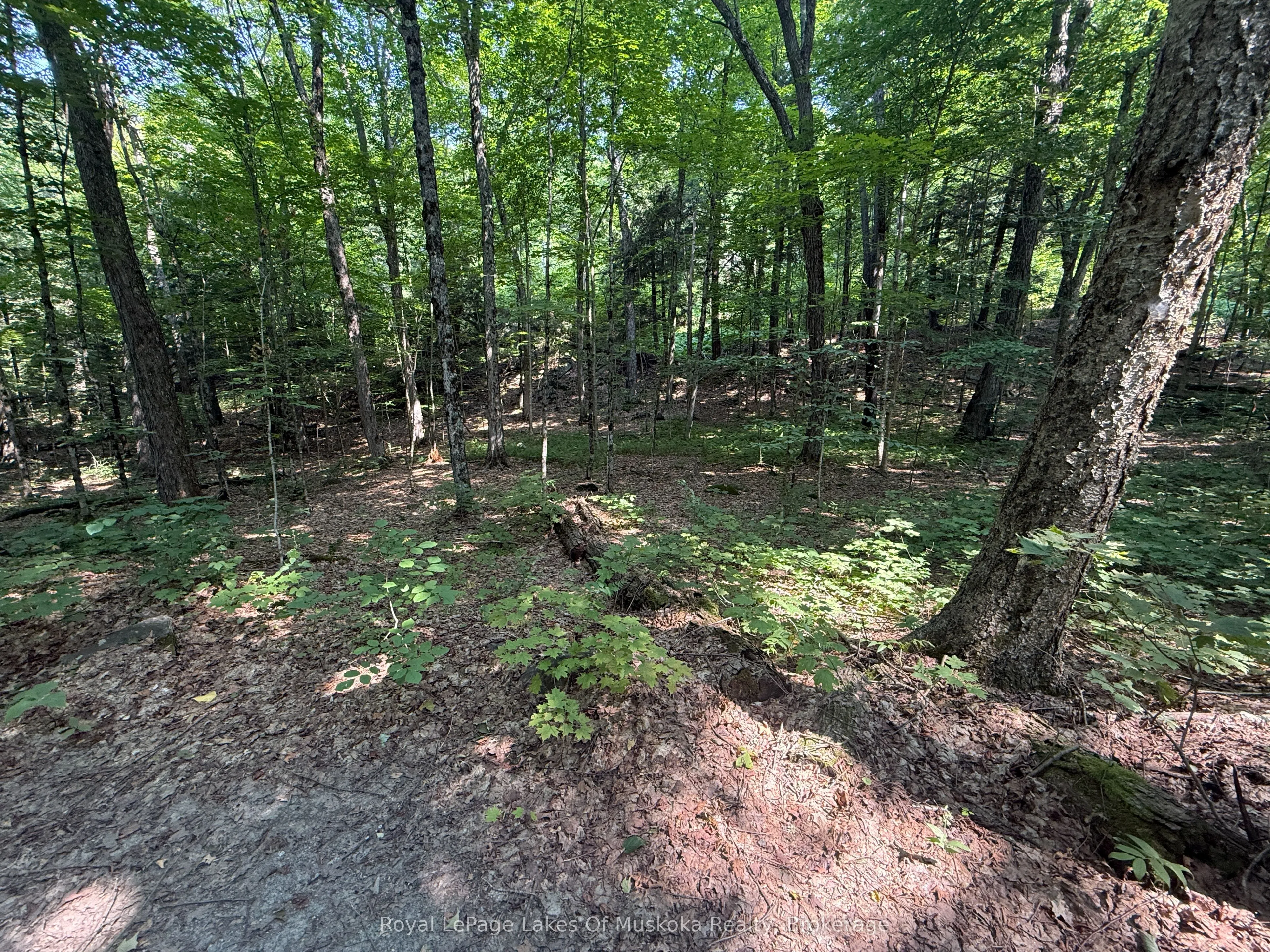LOT 134 BRENNAN Circle