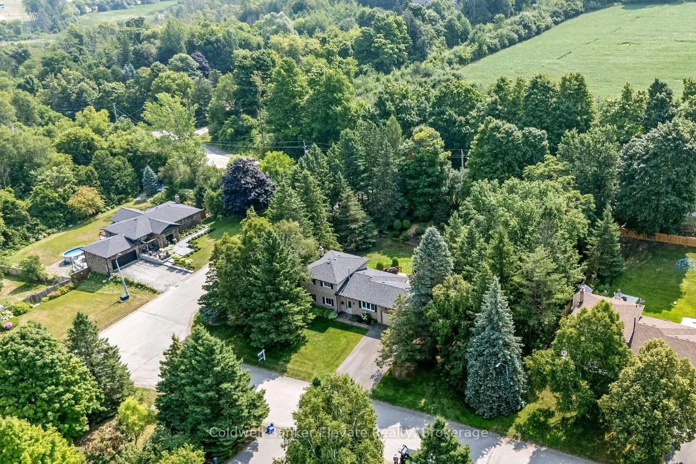 19 Wesley Crescent