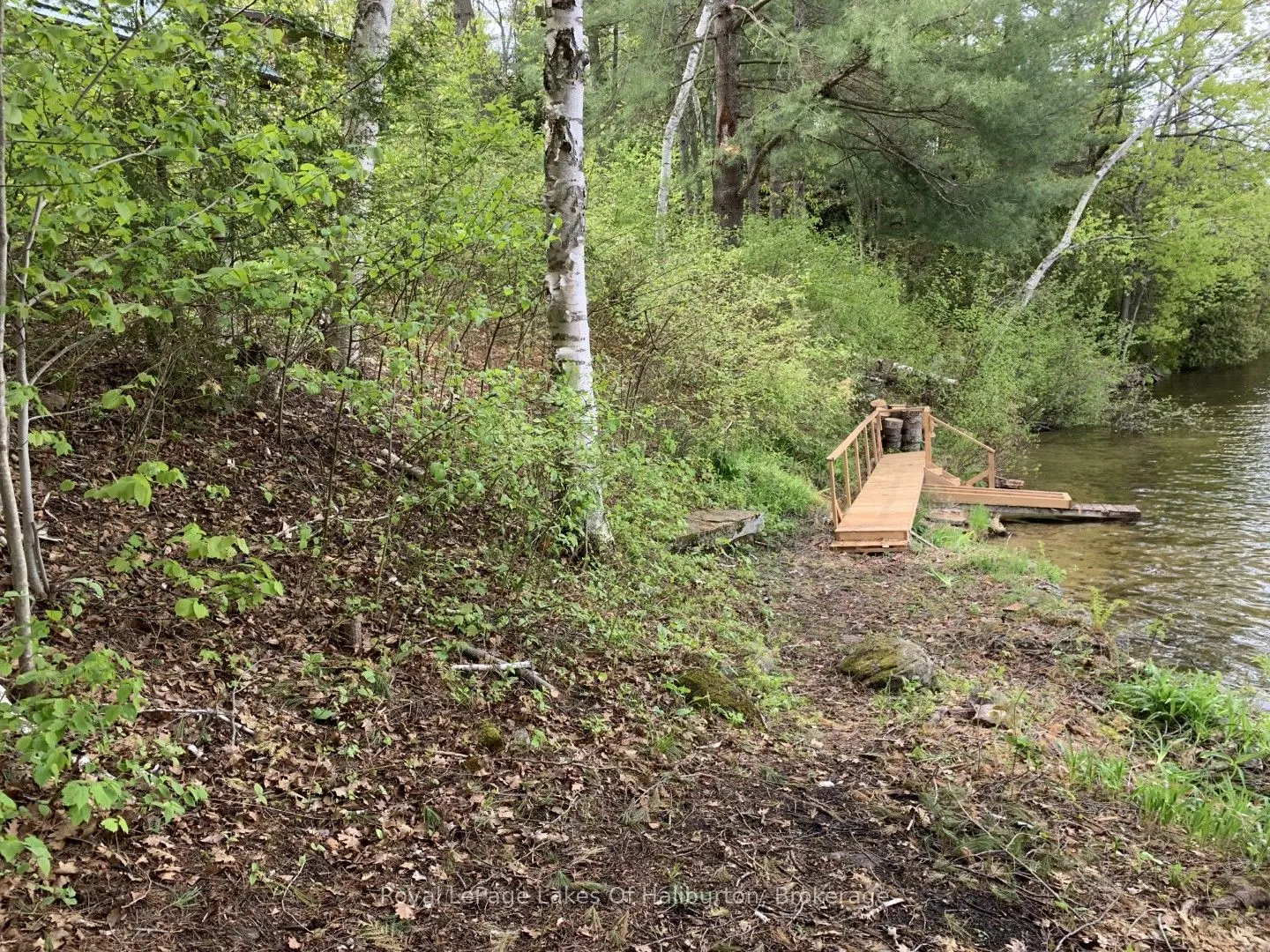 1029 Cam-Walt Trail