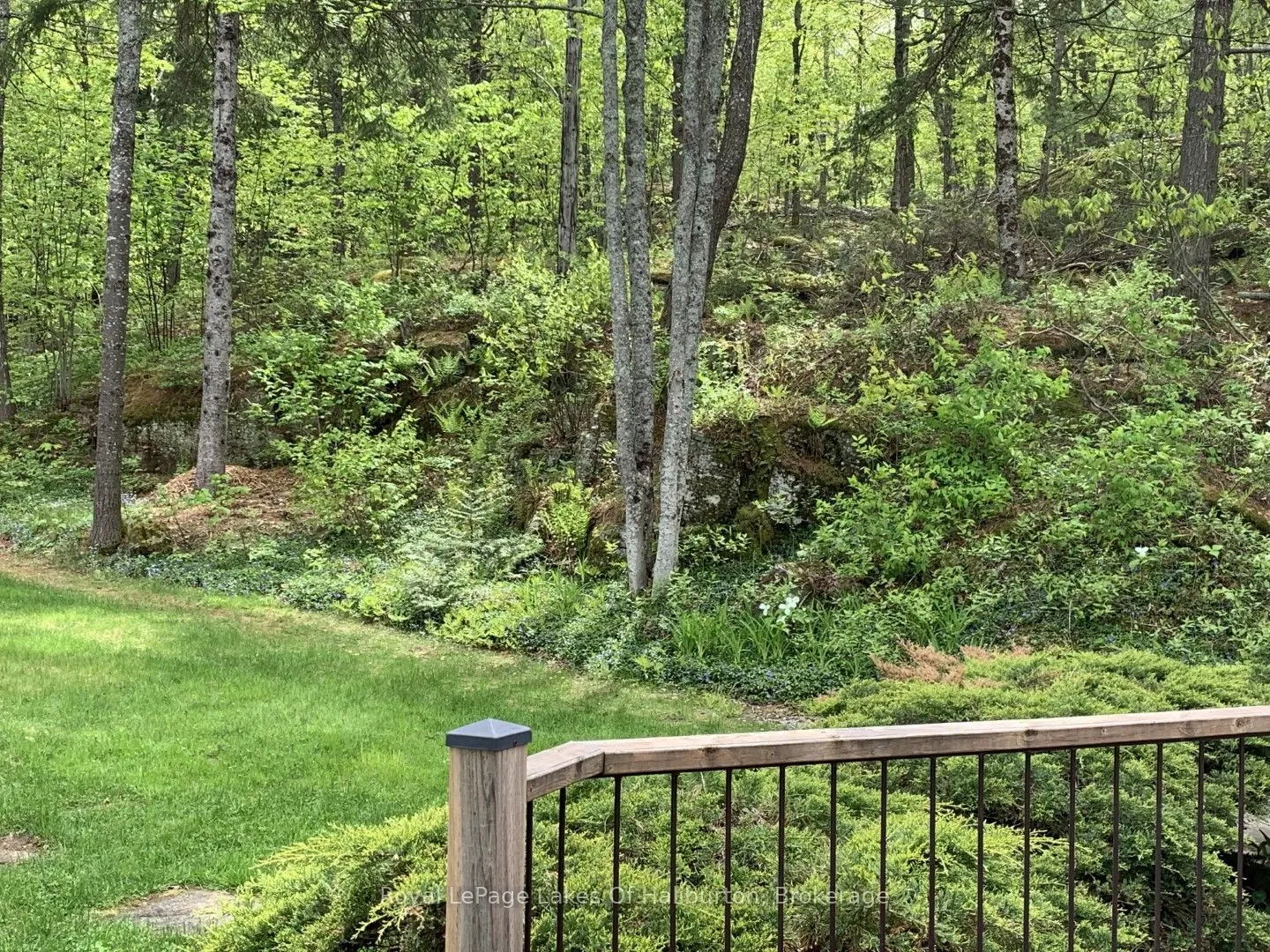 1029 Cam-Walt Trail