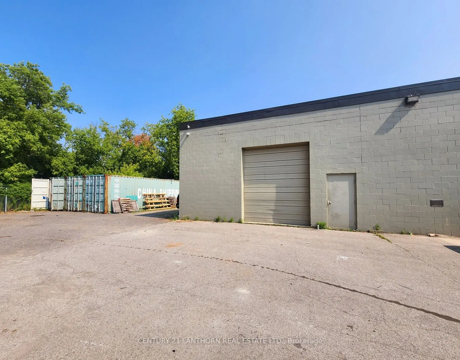 40 Gotha Street, #4