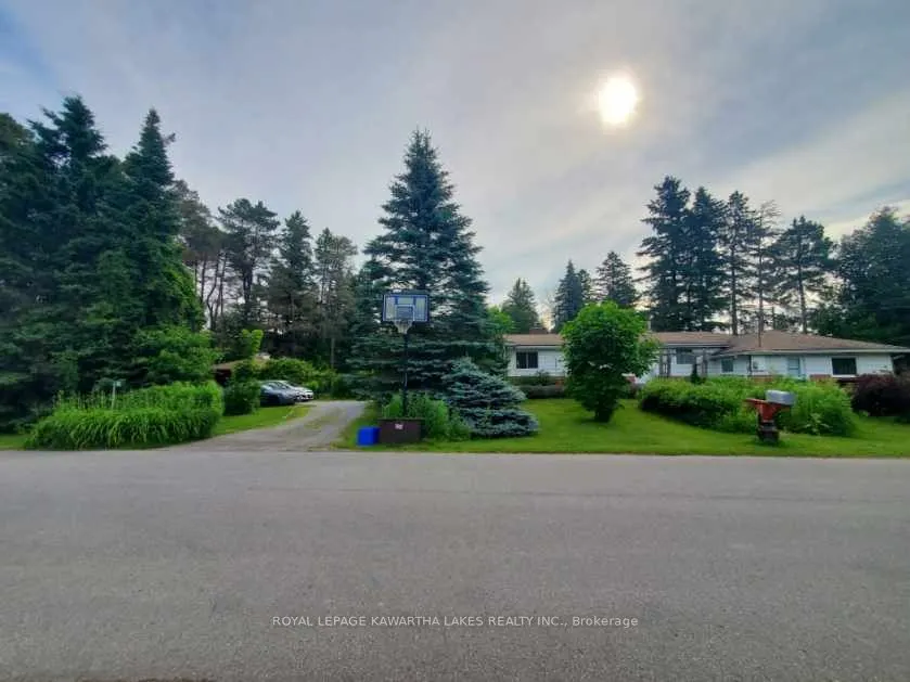 85 Thomas Drive