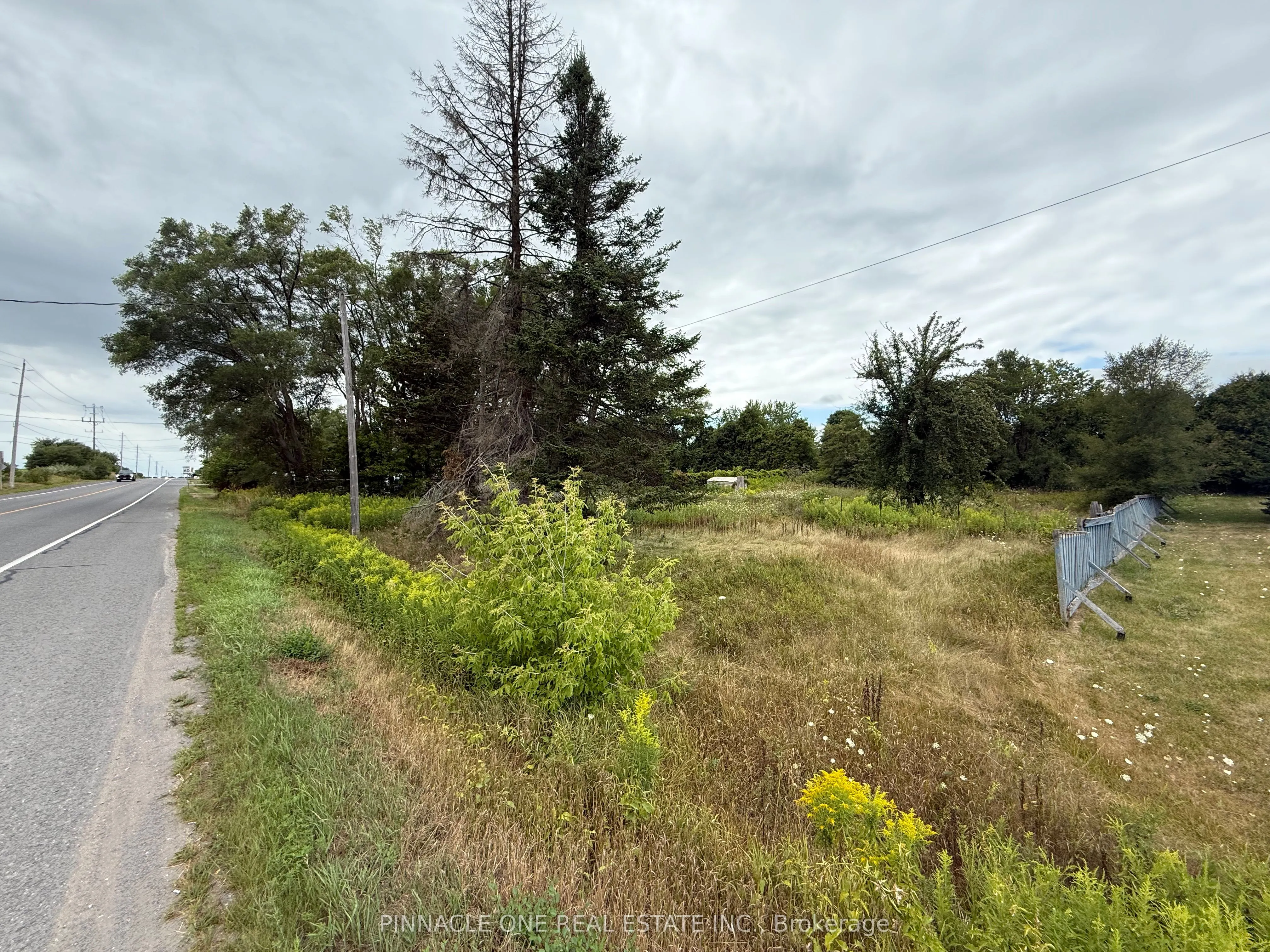 8390 Dale Road