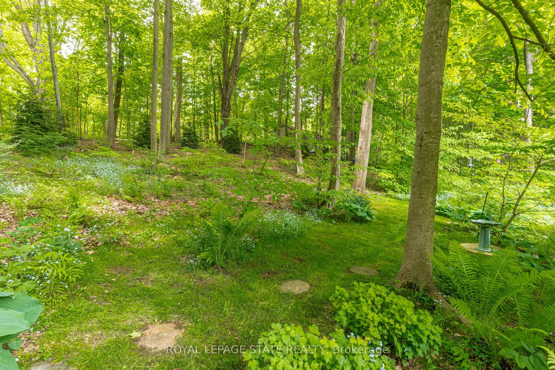 158 Sulphur Springs Road