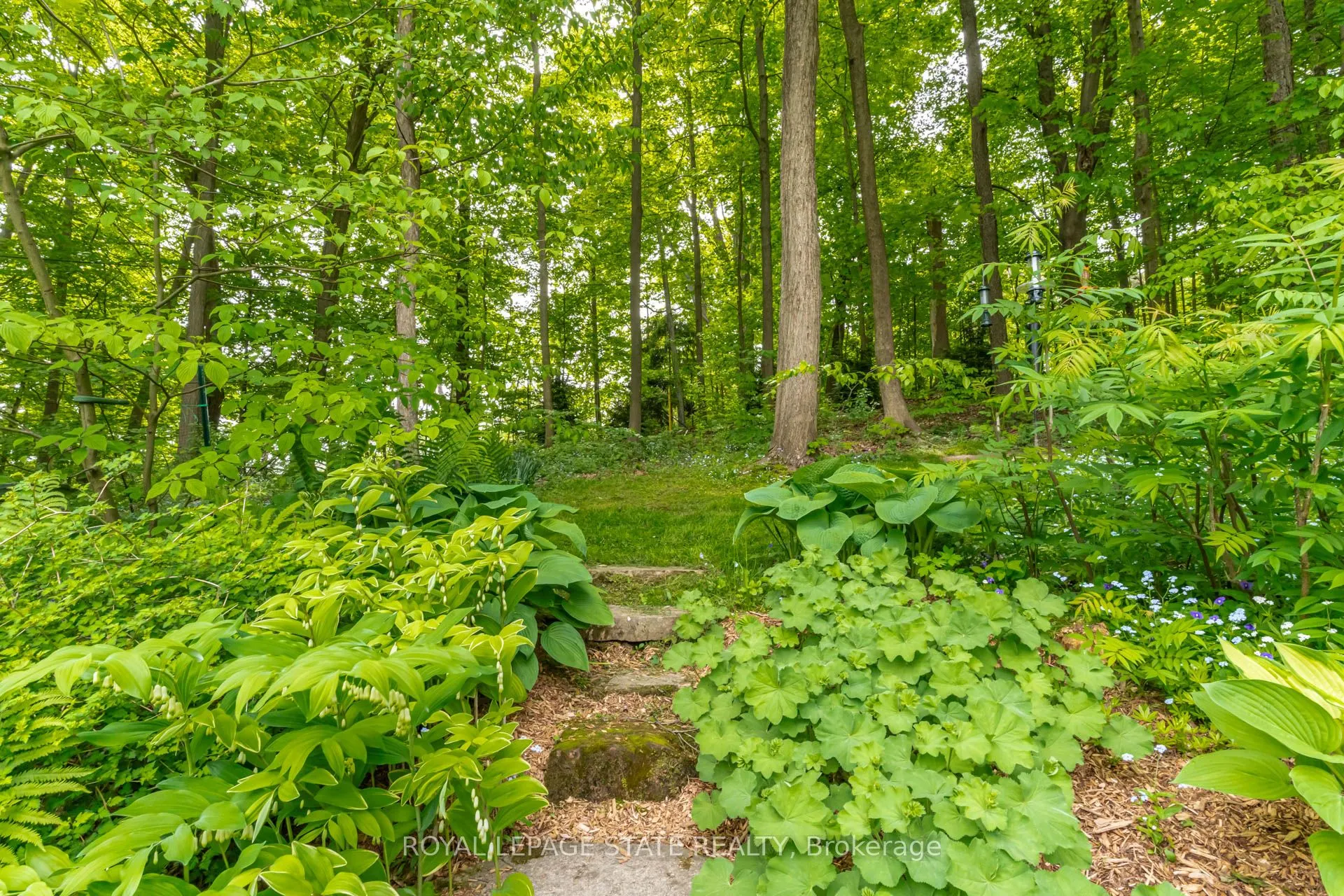 158 Sulphur Springs Road
