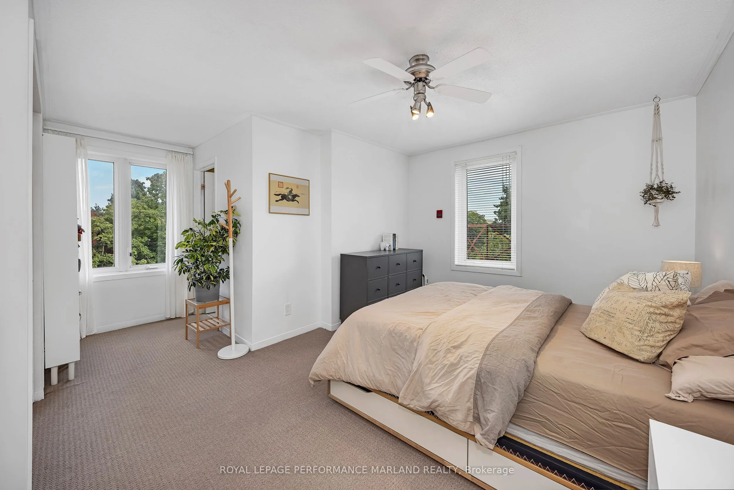 244 Charlotte Street, #8