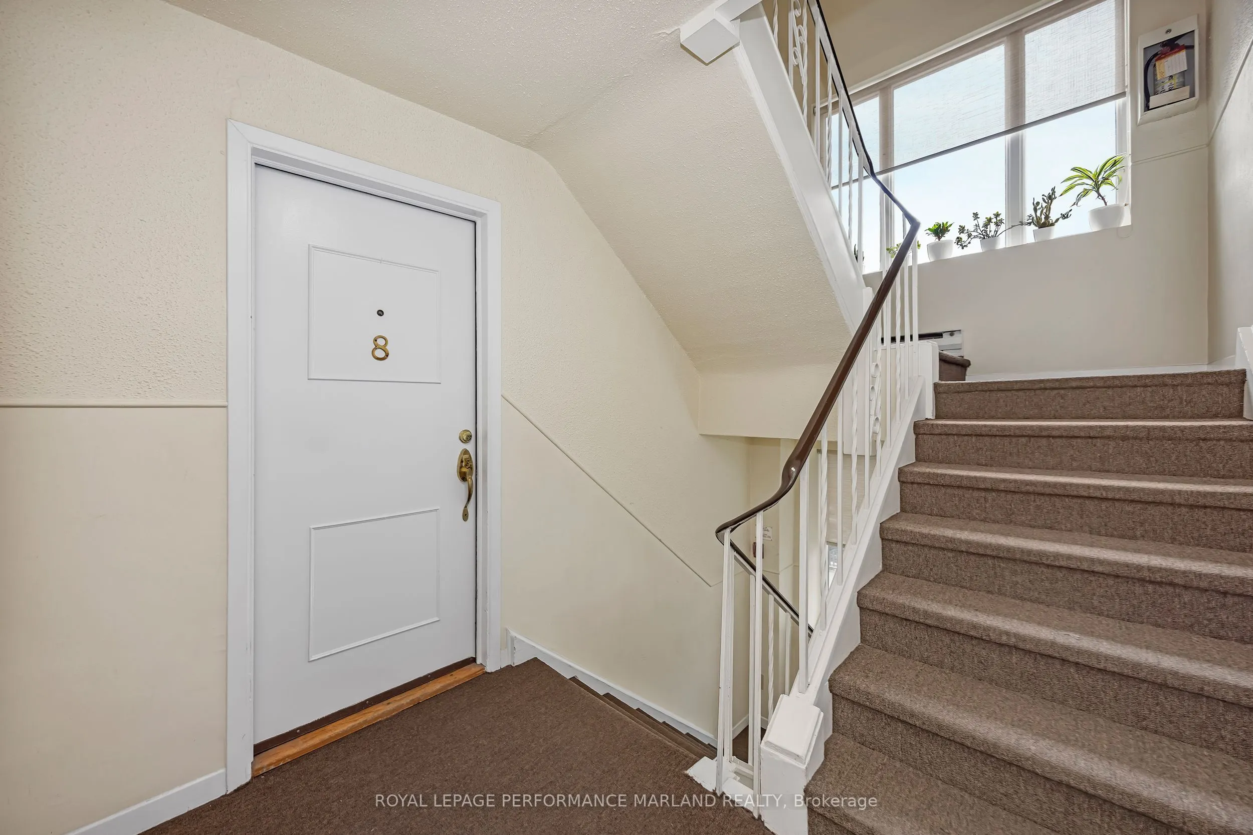 244 Charlotte Street, #8