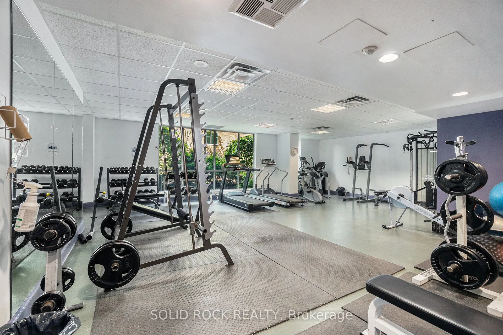 134 York Street, #202