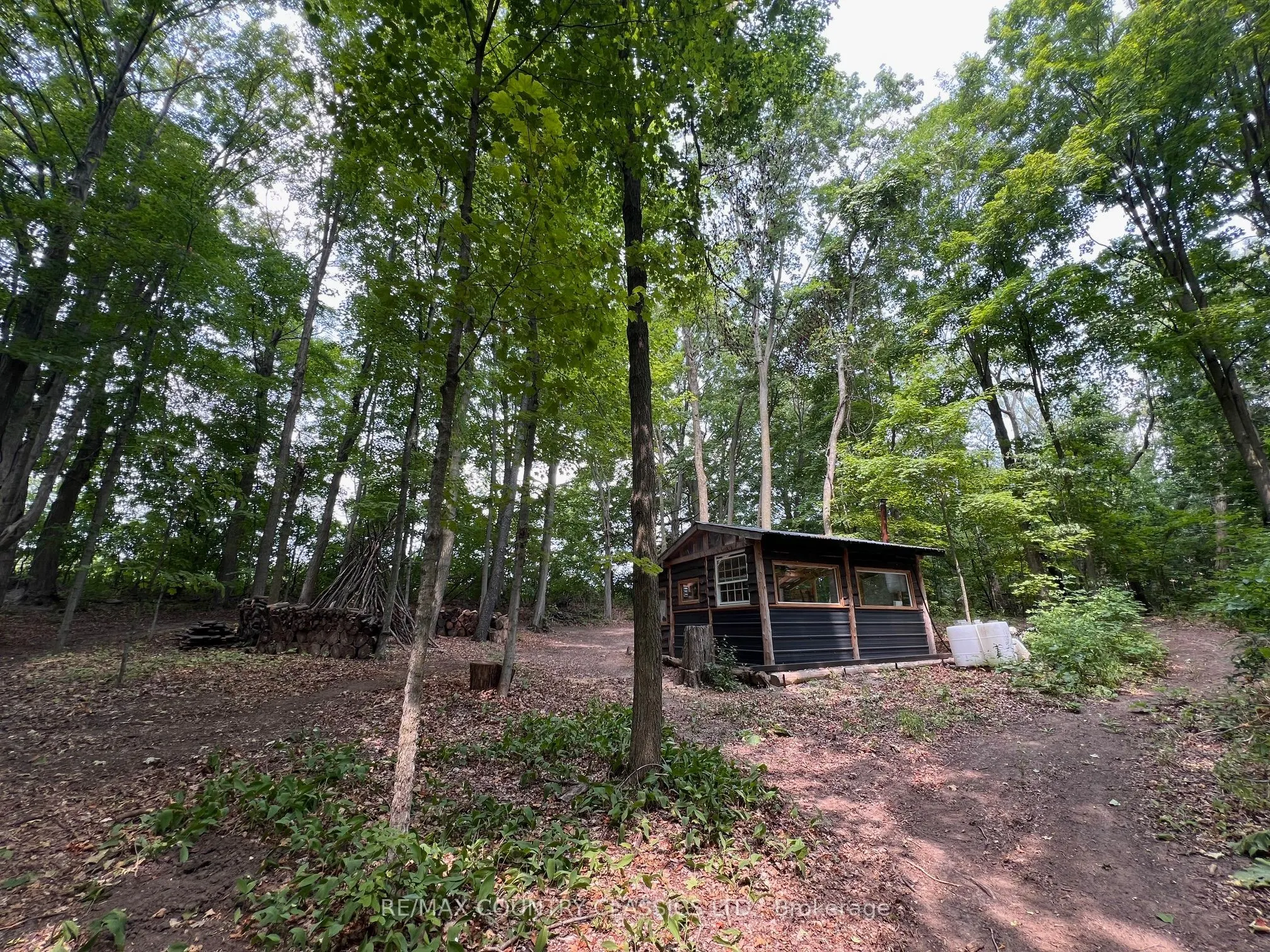 86 Scriven Road