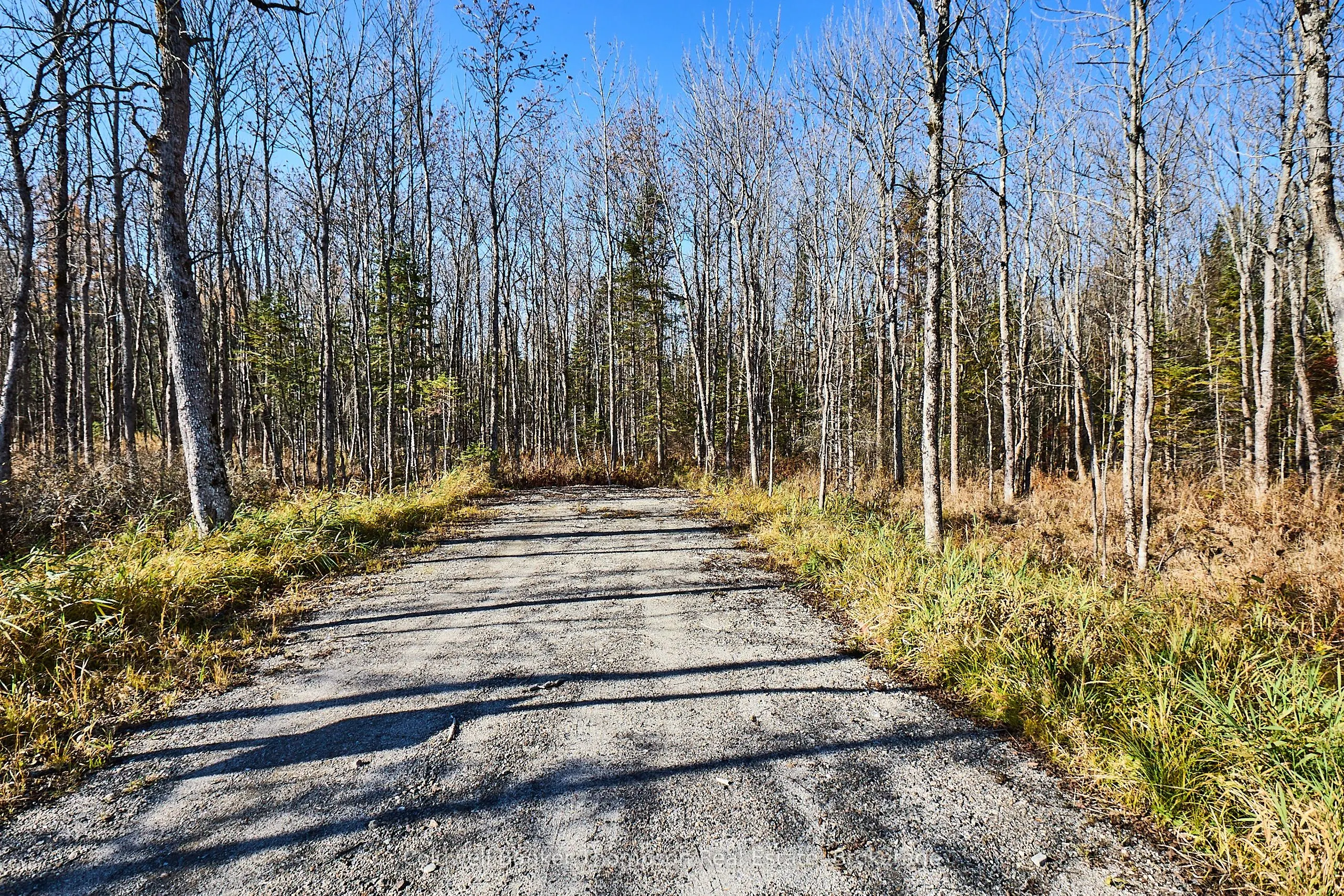 0 OLD NORTH Road