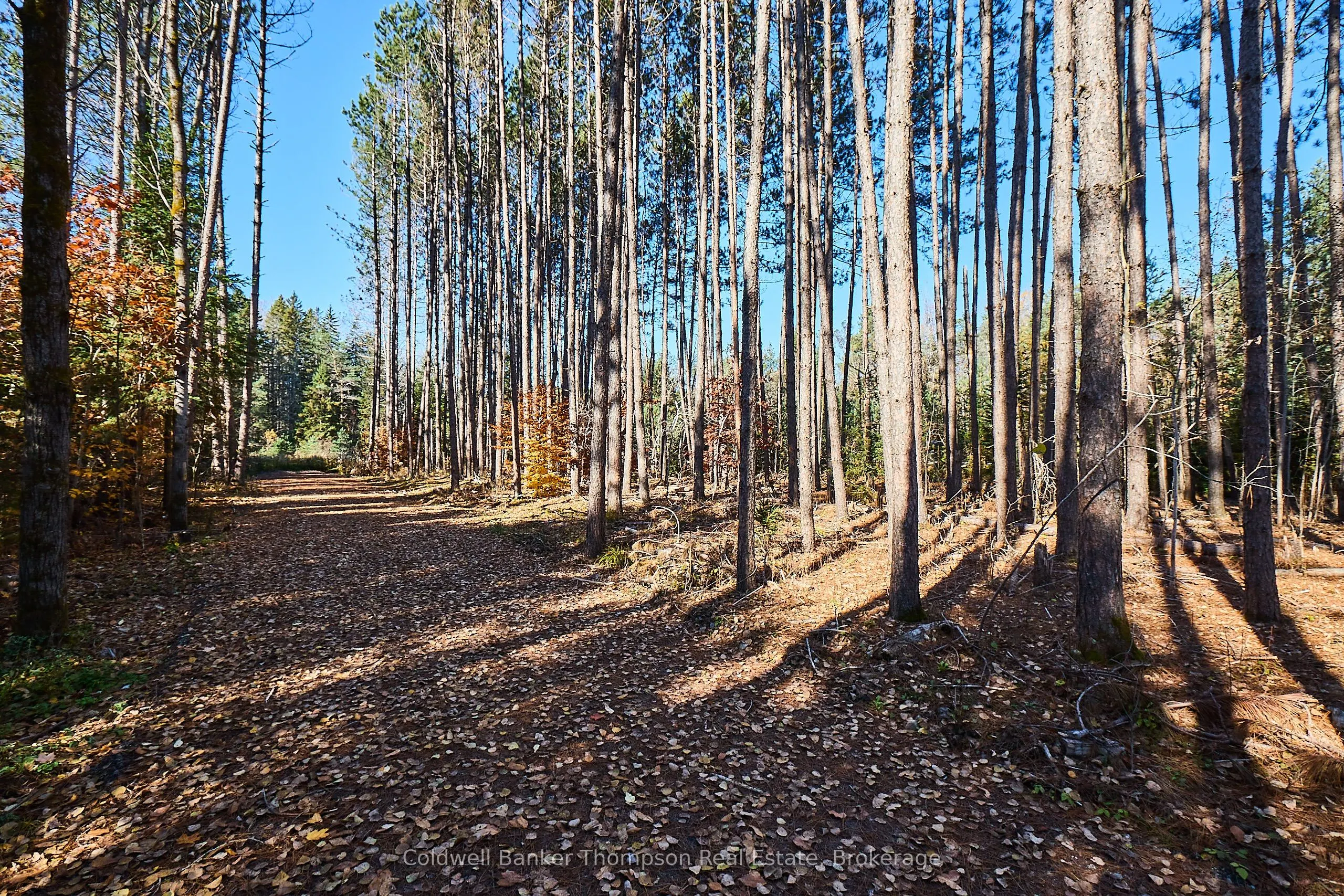 1304 OLD NORTH Road