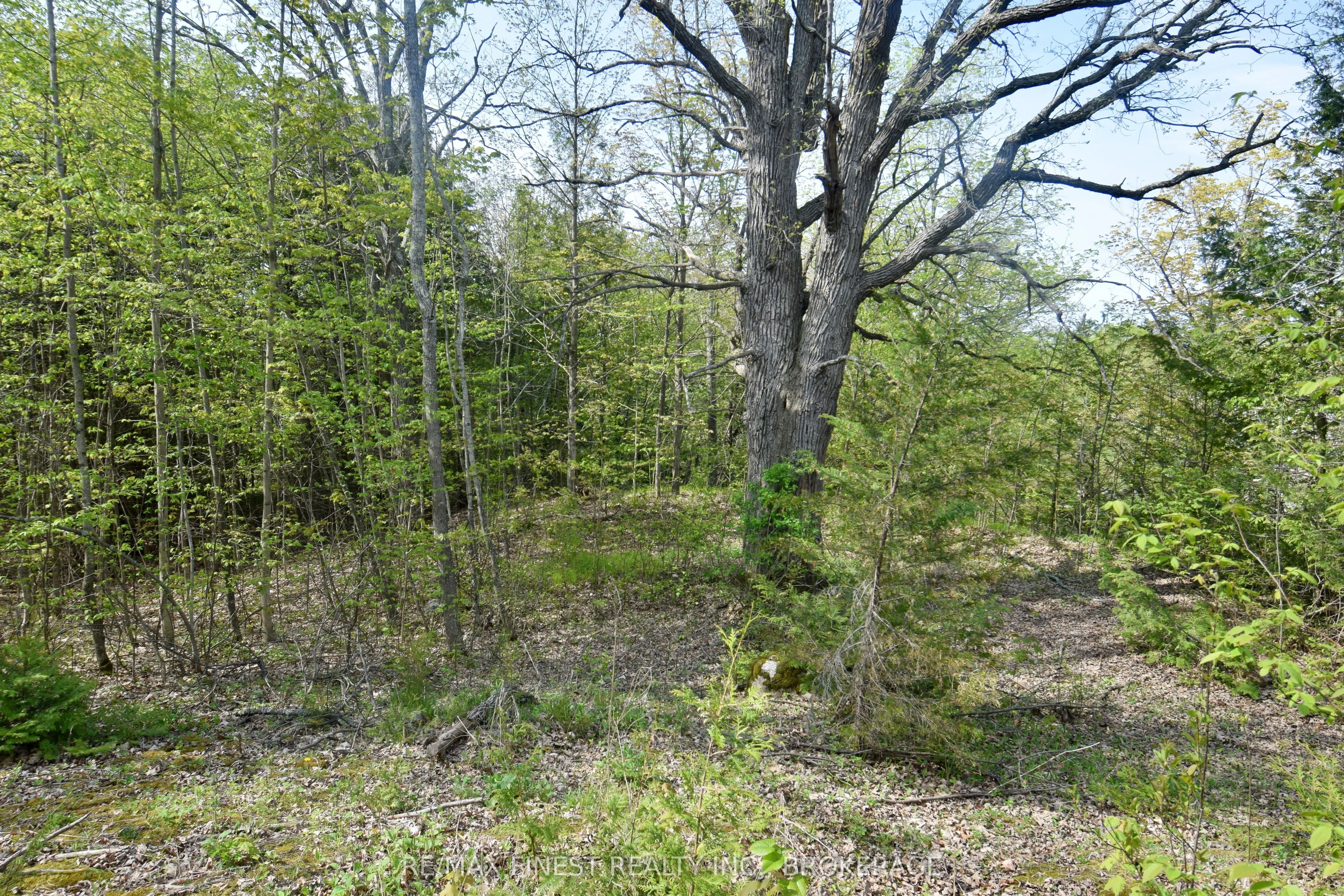 20B Ballantra Drive