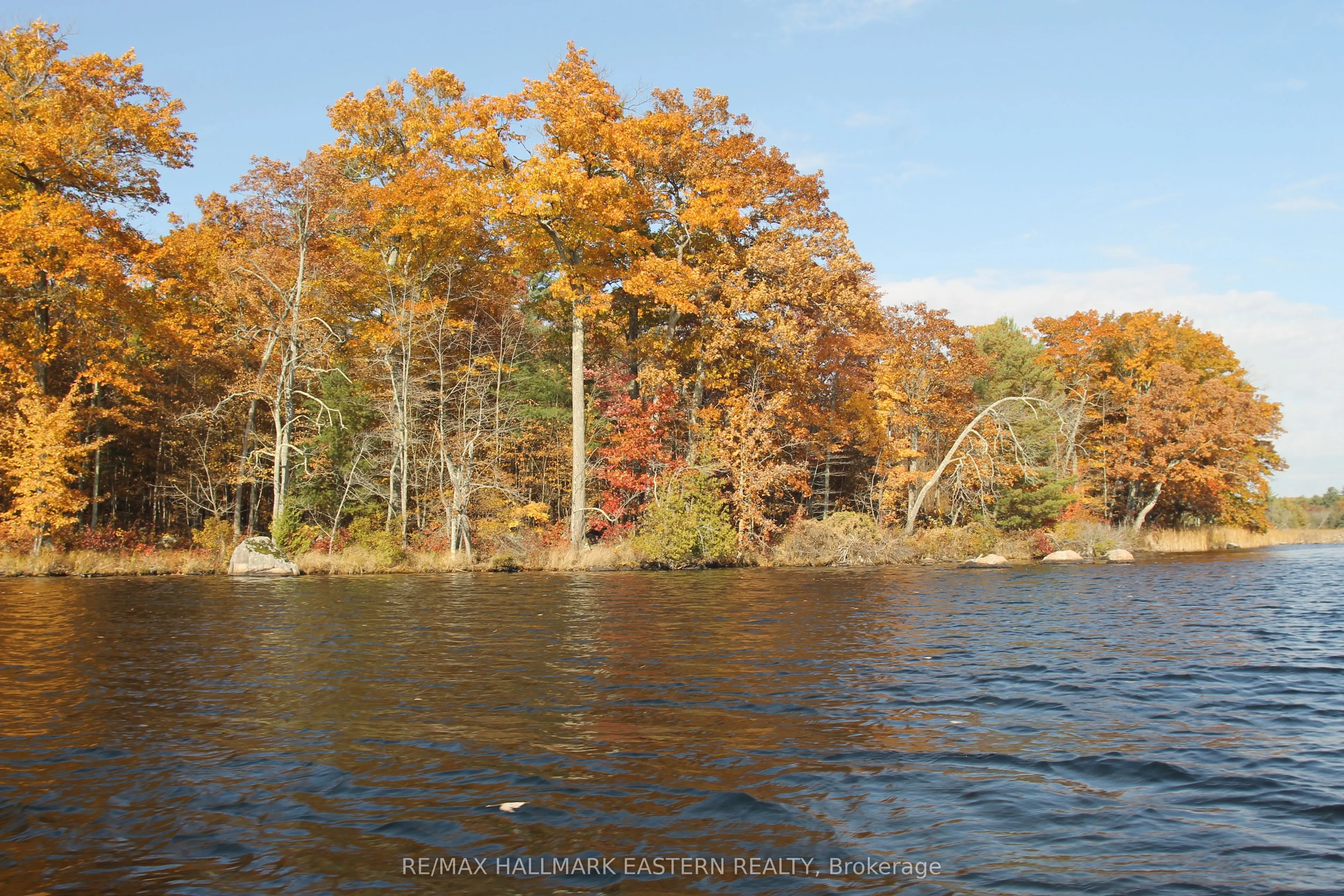 C280 Lower Buckhorn Lake, #Lot 2