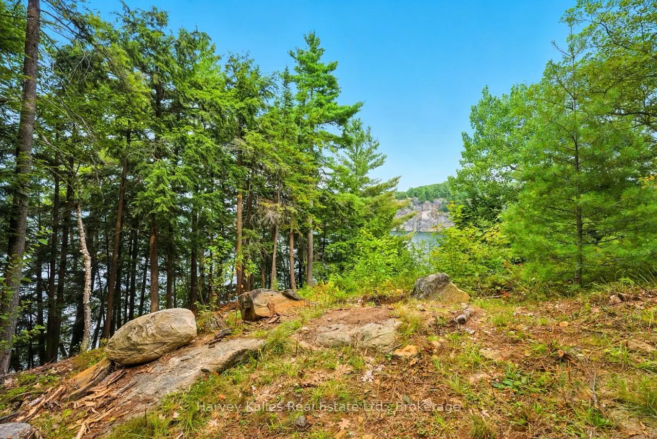25 Clifton Island