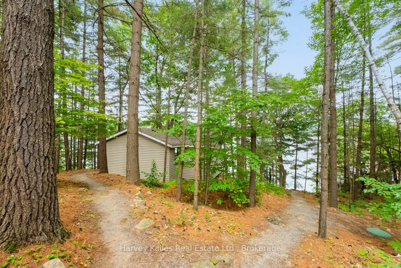 25 Clifton Island