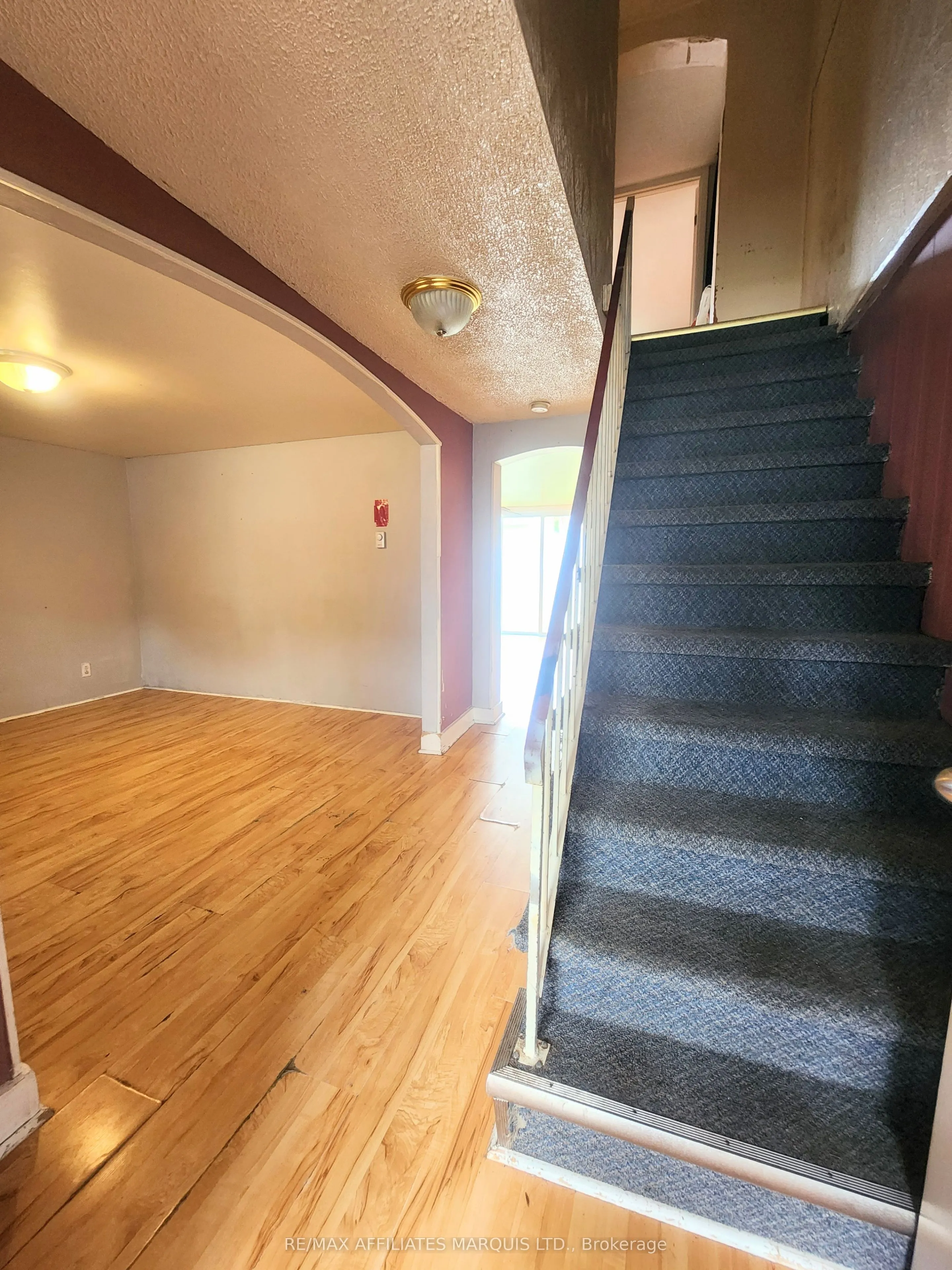 12-12A Cartier Avenue