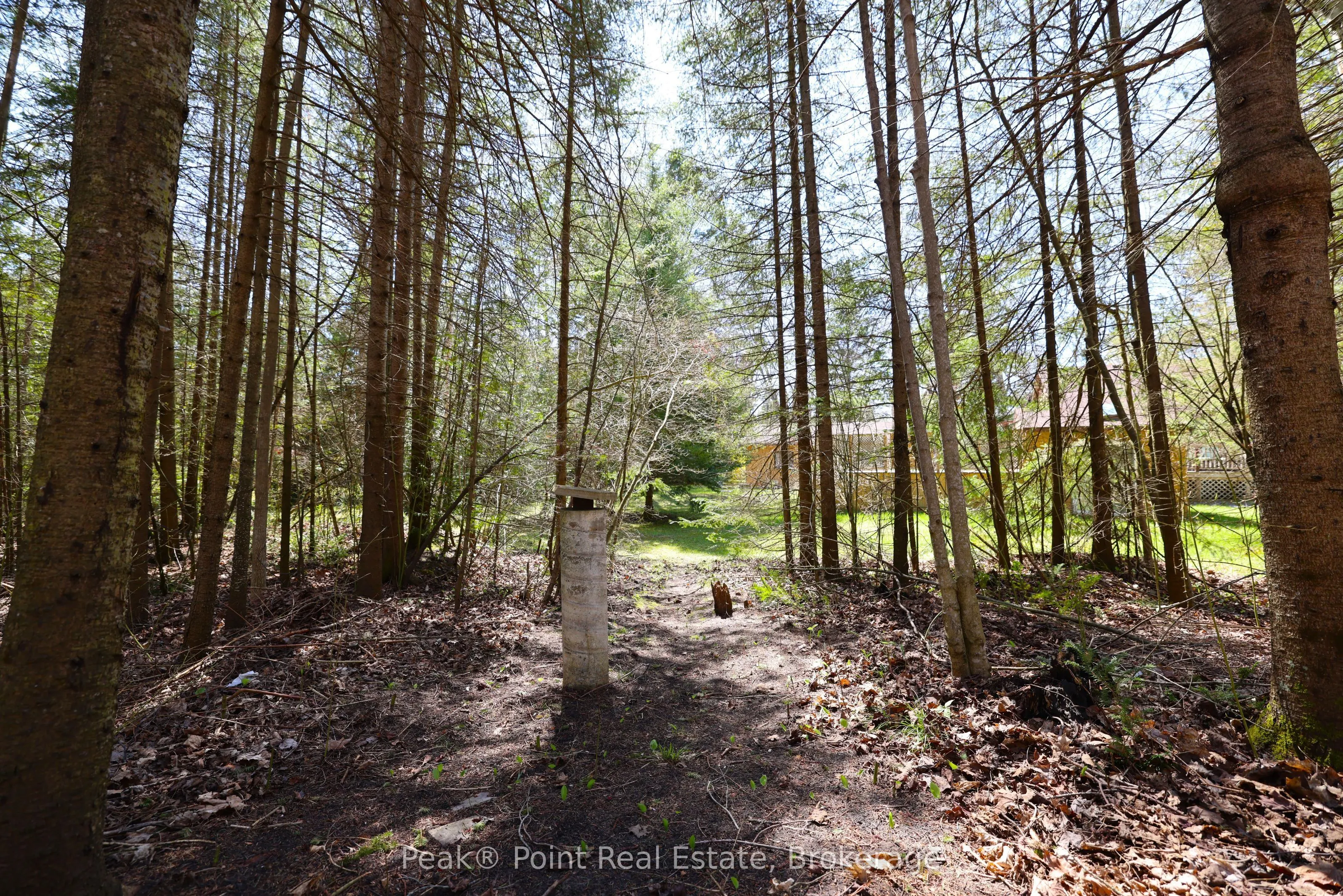 1207 Sauble Falls Road