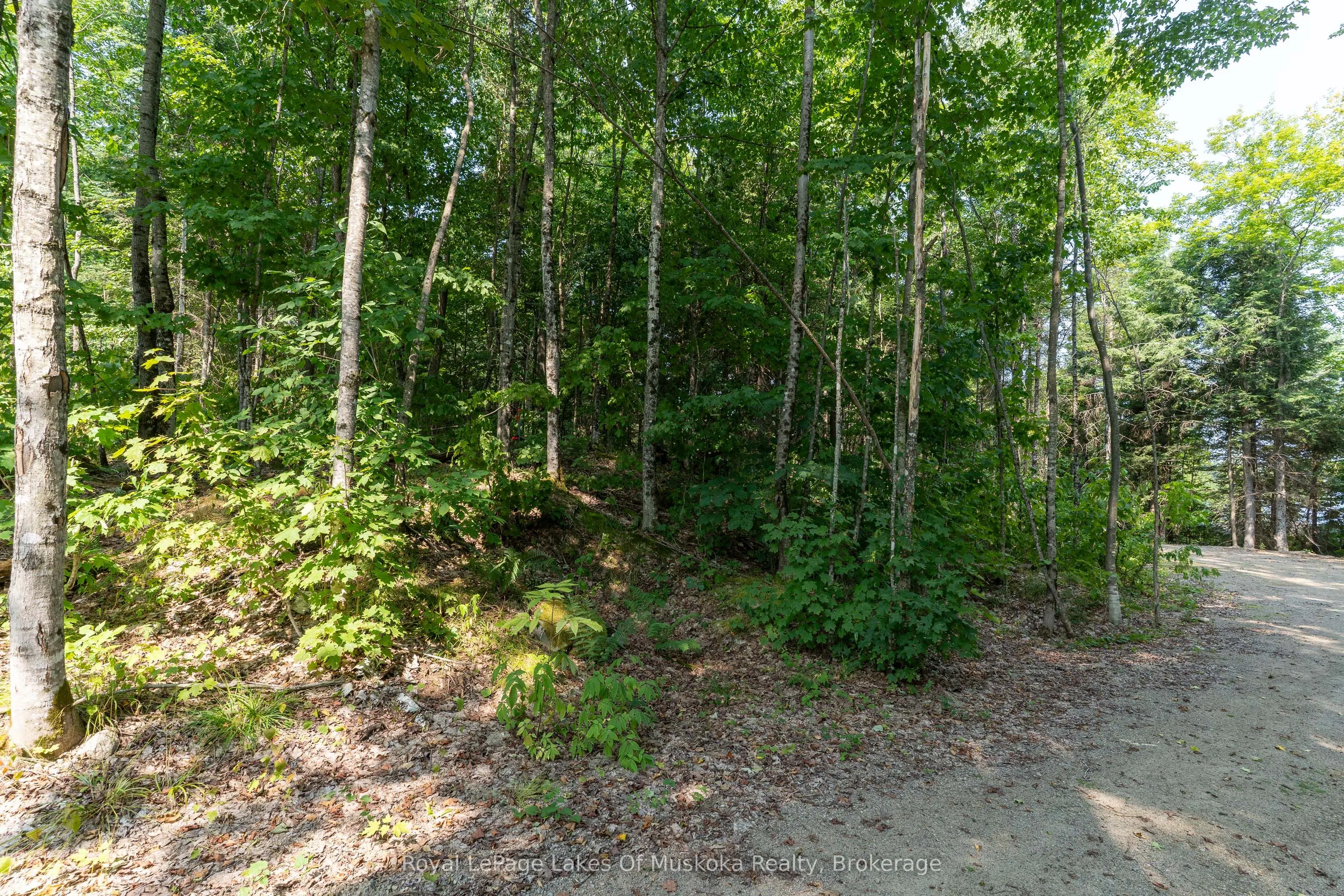 1206 Minden Point Trail