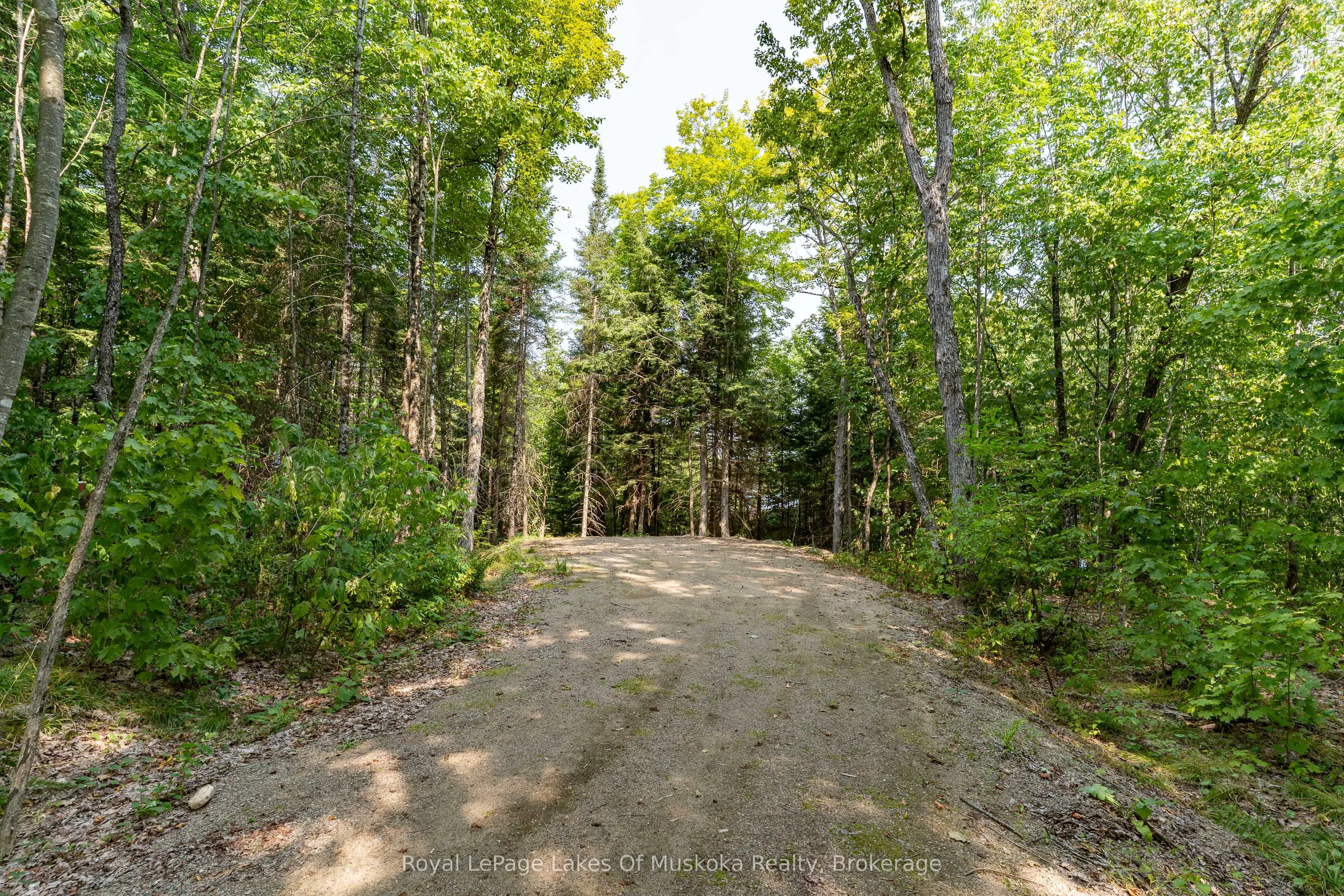 1206 Minden Point Trail