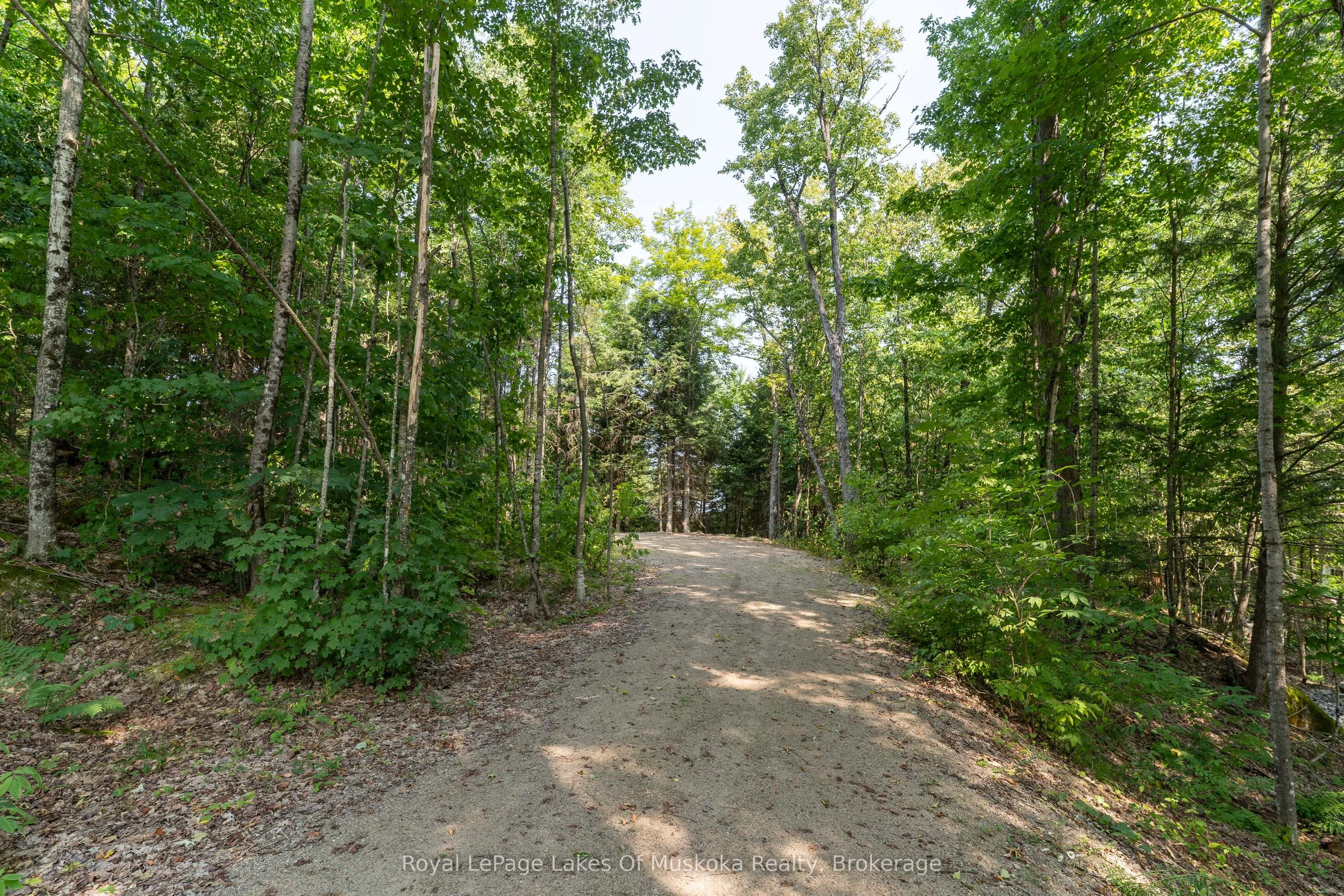 1206 Minden Point Trail