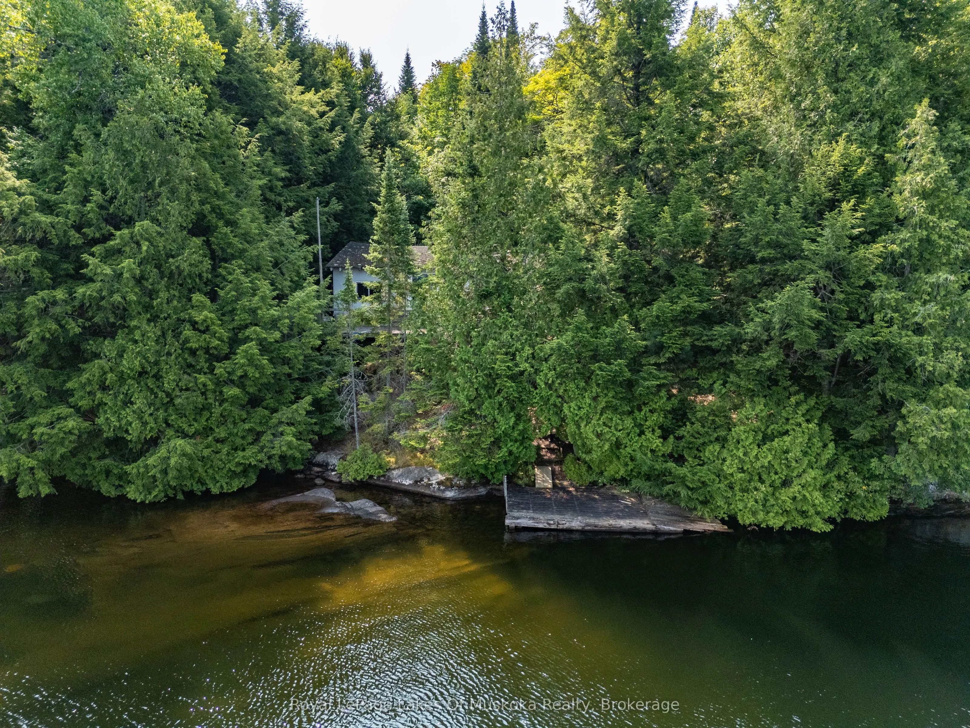 1206 Minden Point Trail