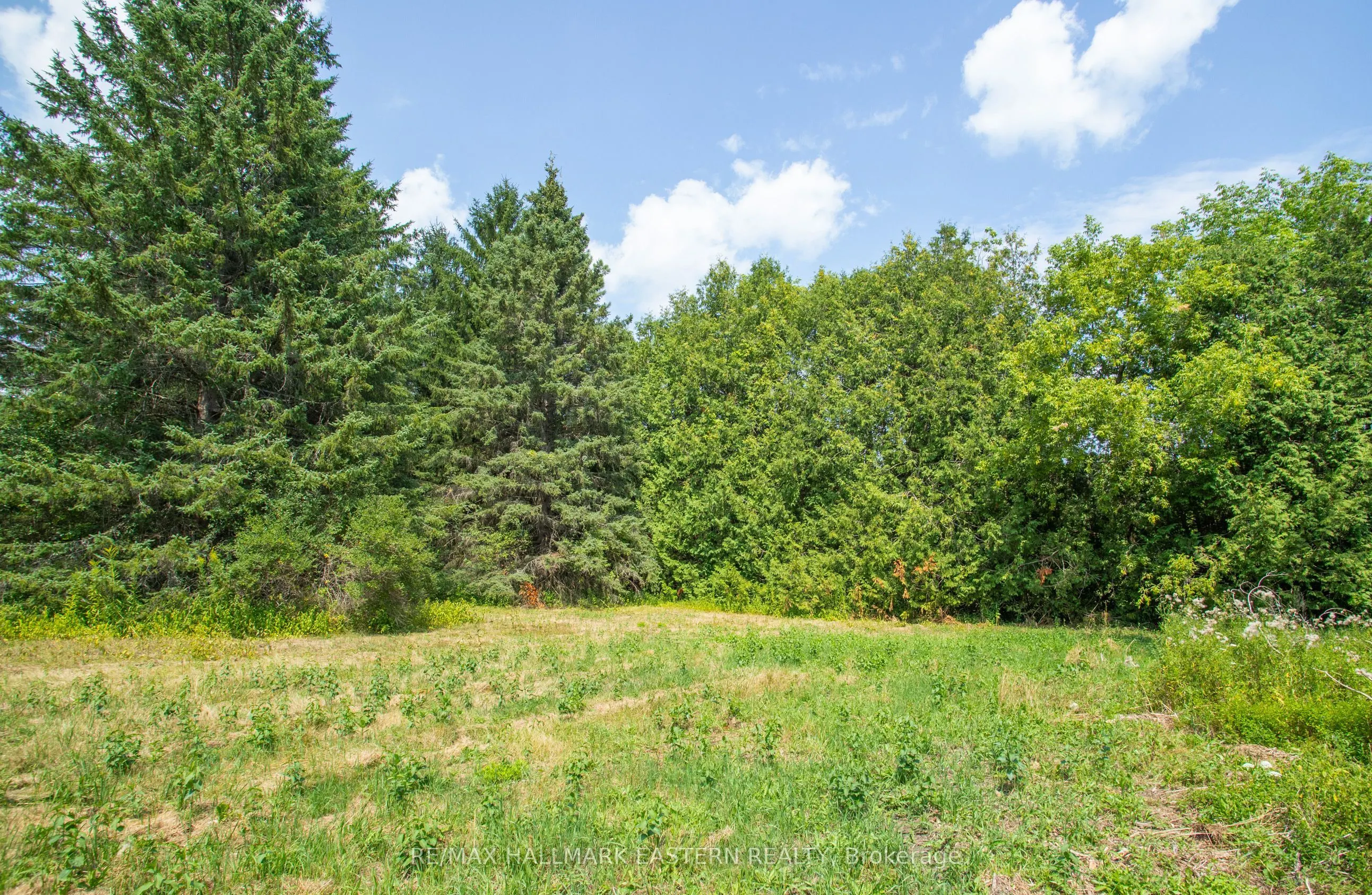 751 Ford Crescent