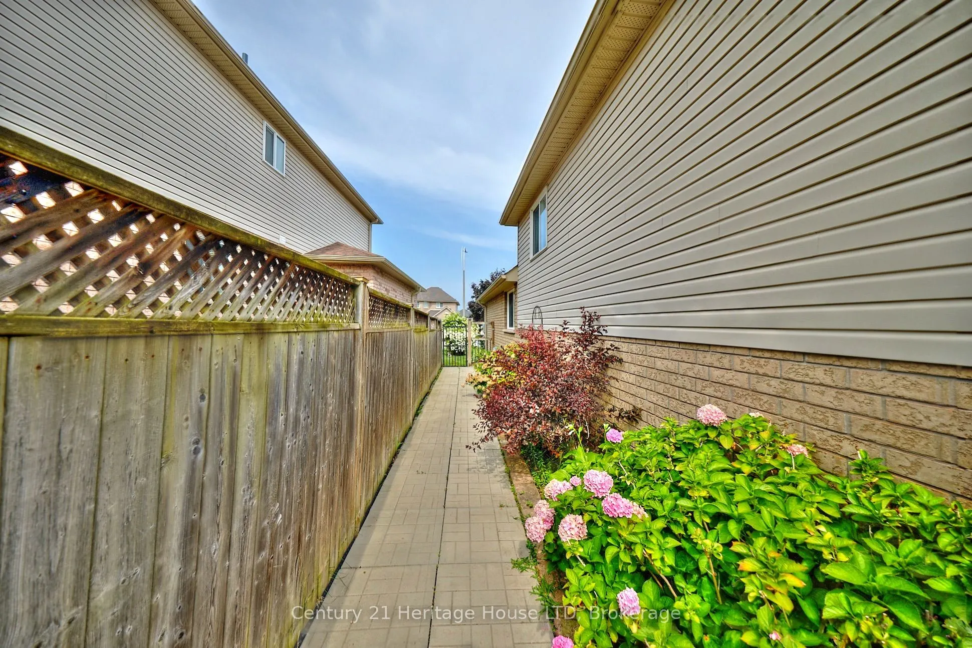 222 Dorchester Drive