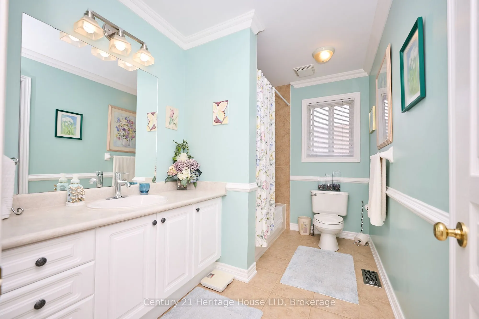 222 Dorchester Drive