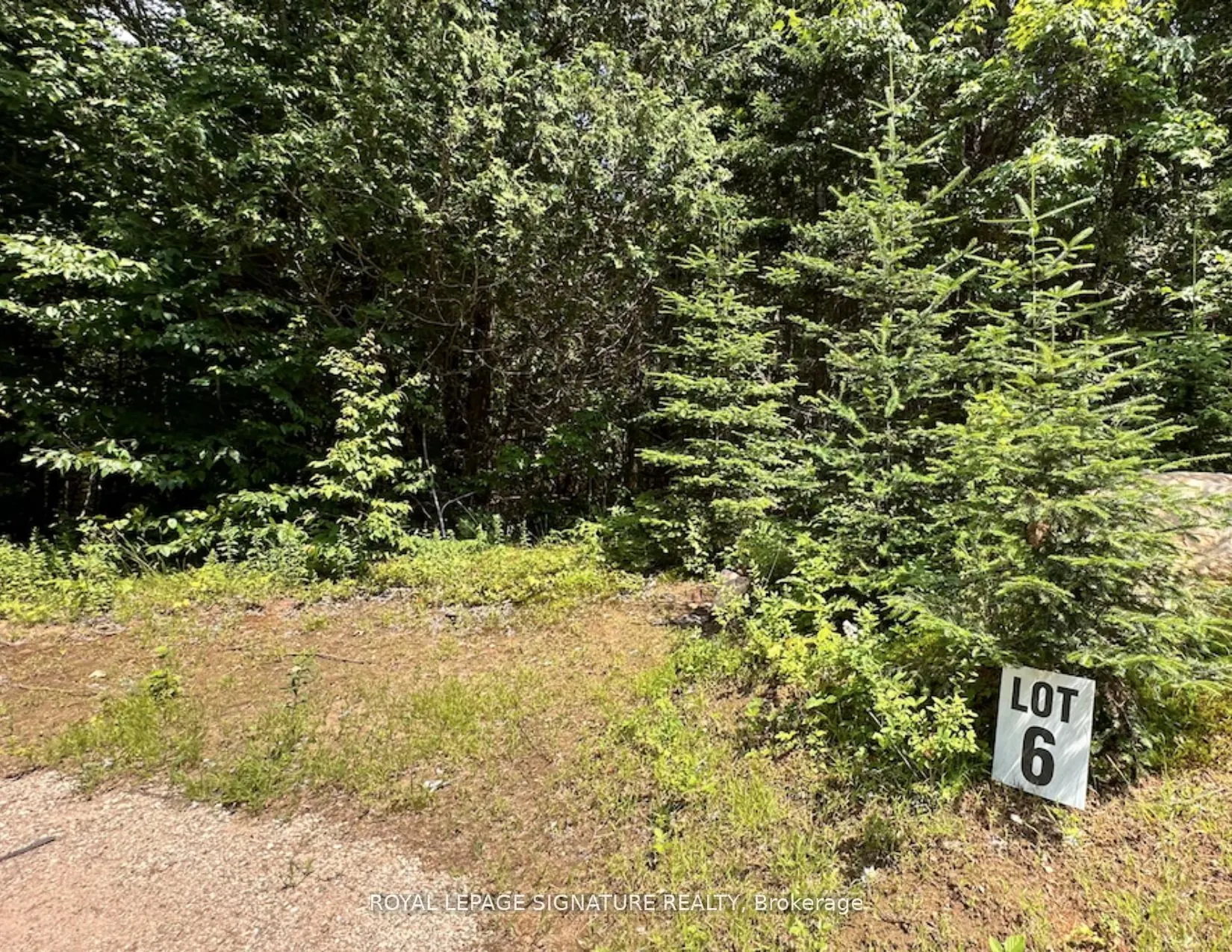 15 Axe Lake Road
