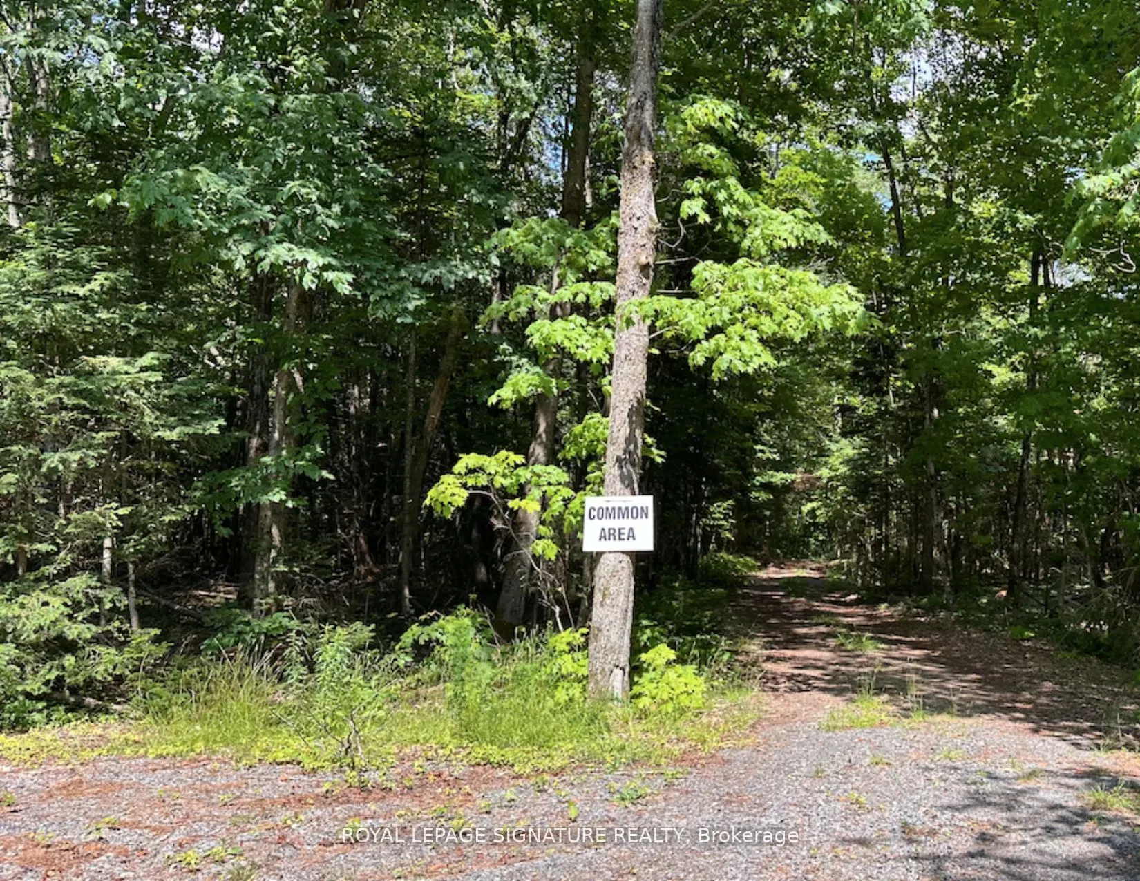 15 Axe Lake Road