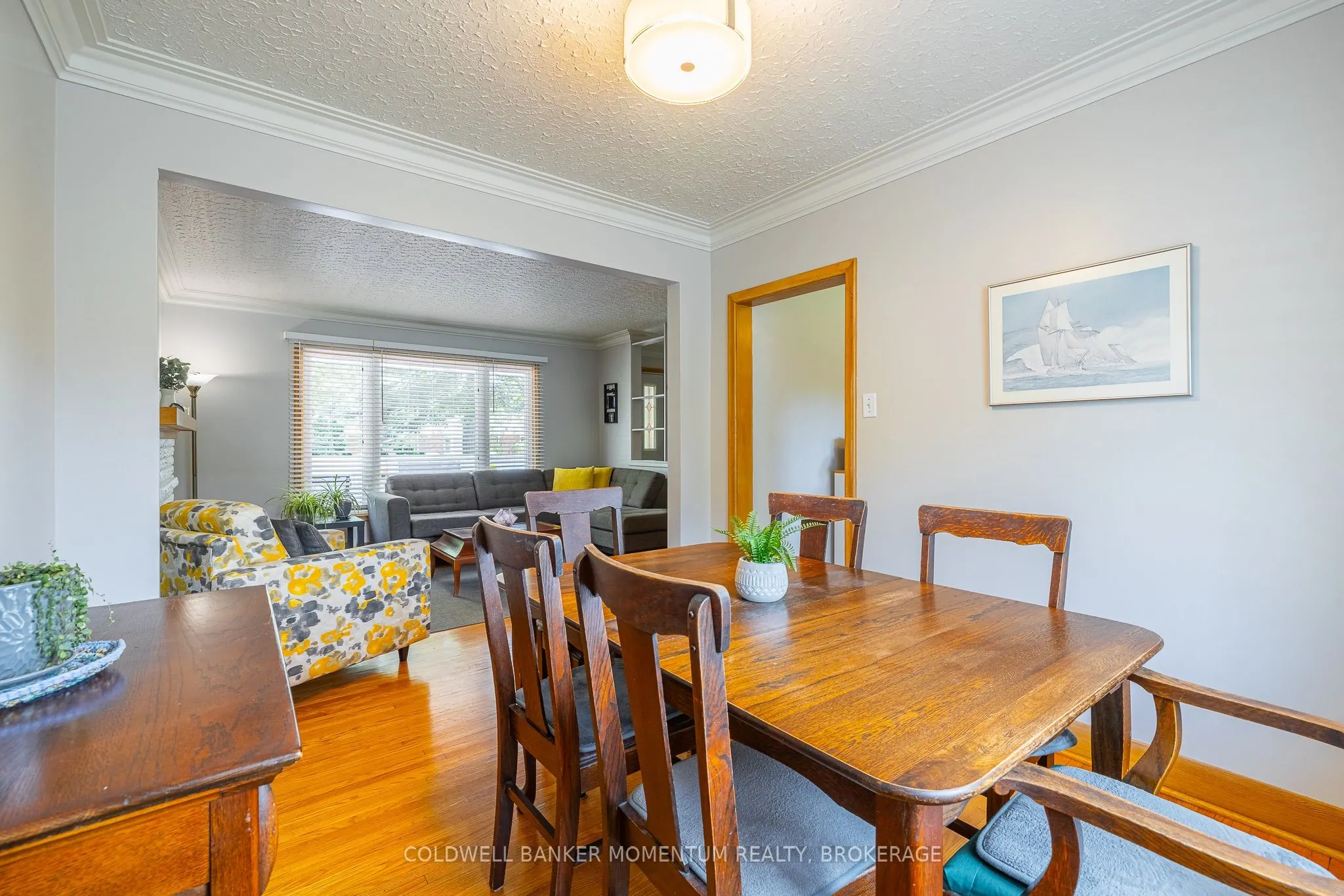 11 Roxanne Drive