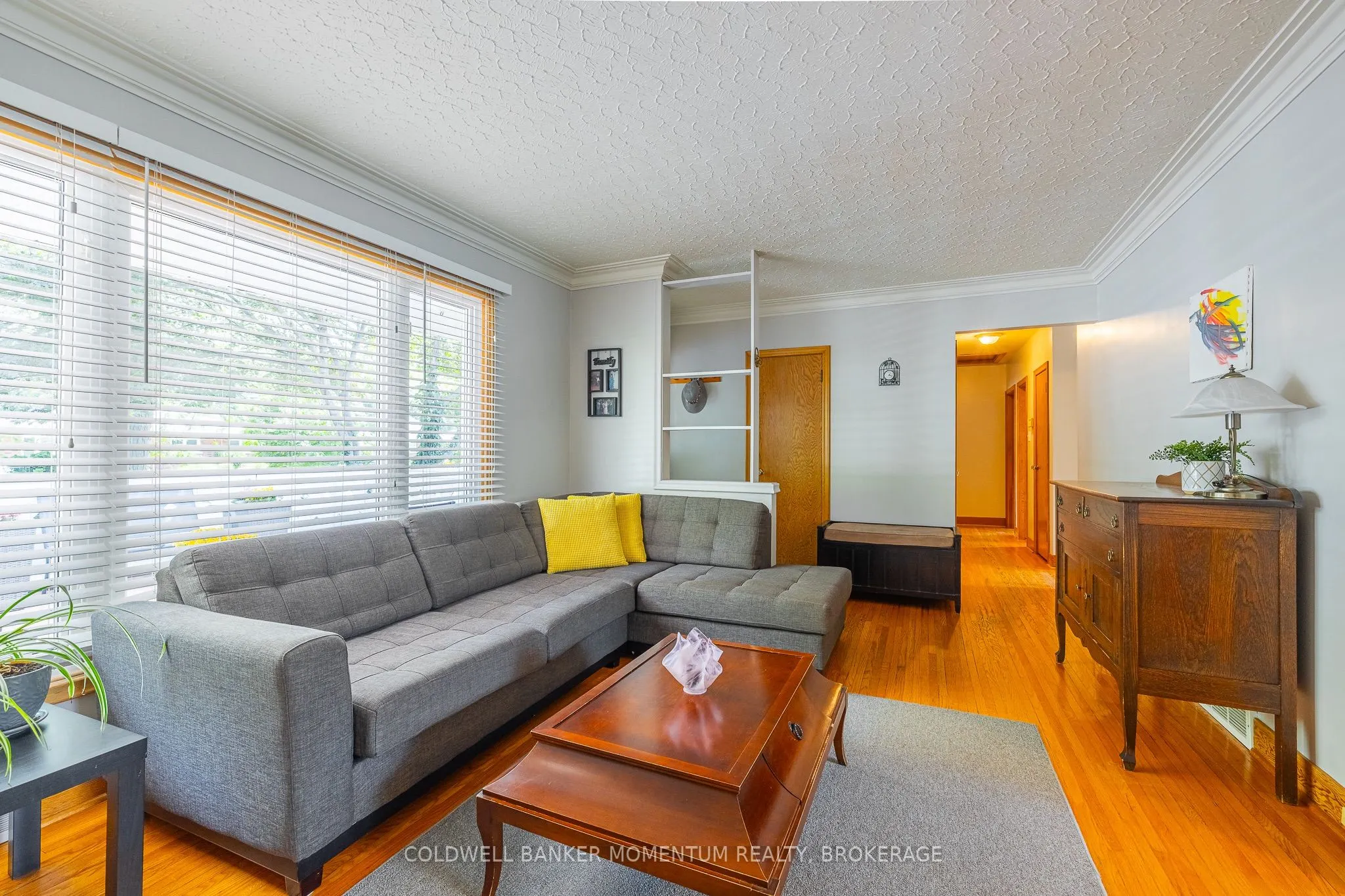 11 Roxanne Drive