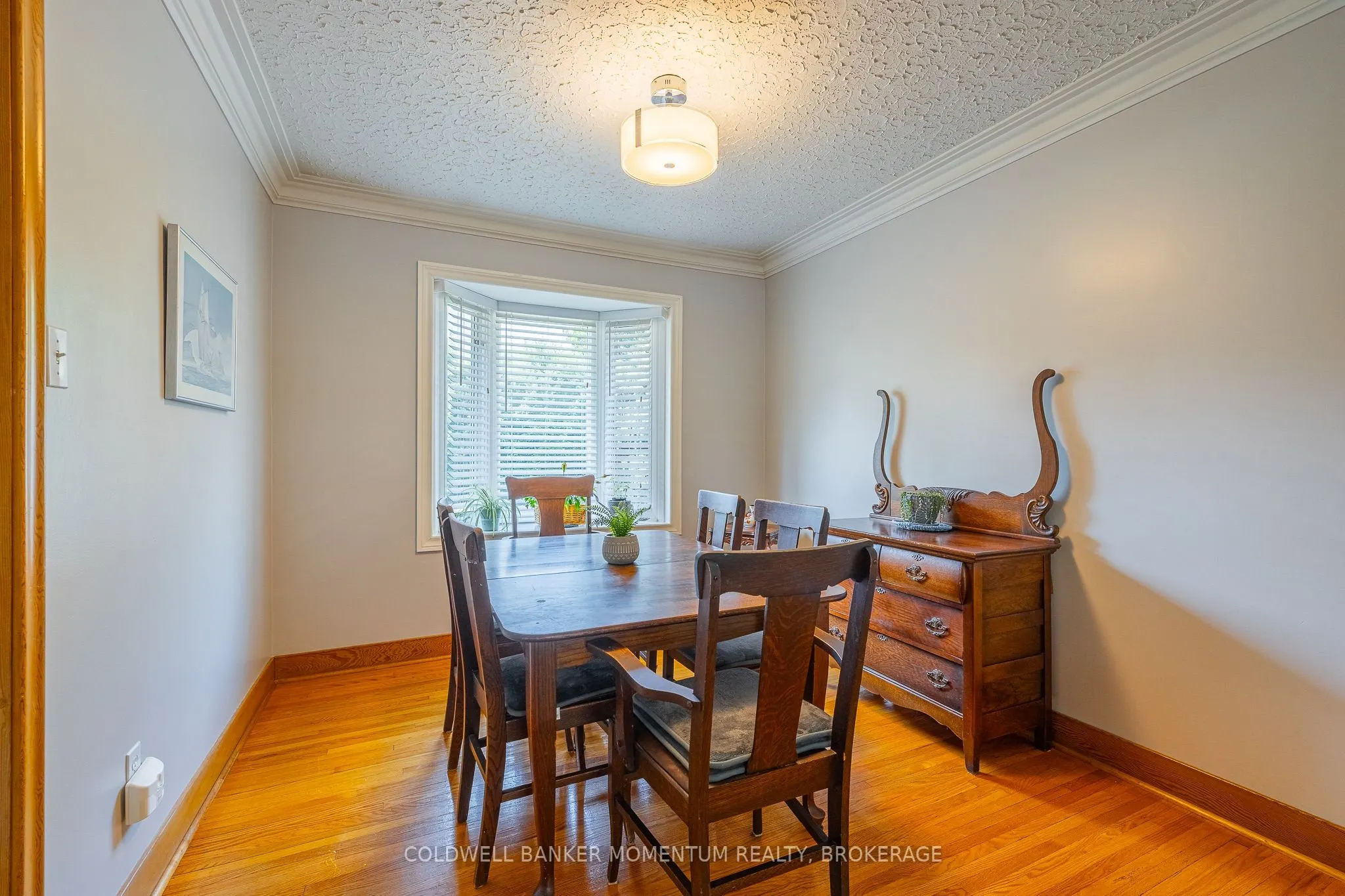 11 Roxanne Drive