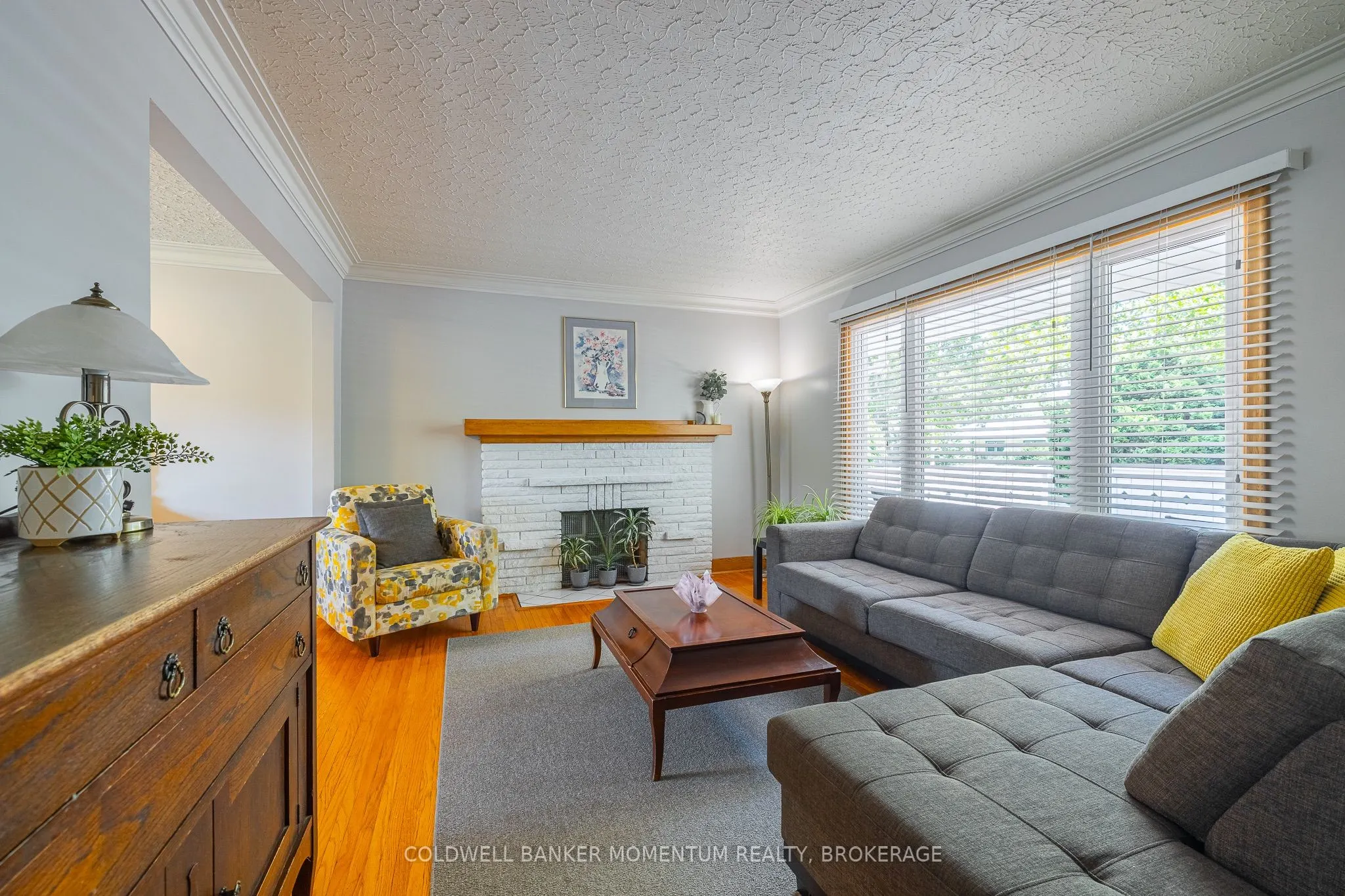 11 Roxanne Drive