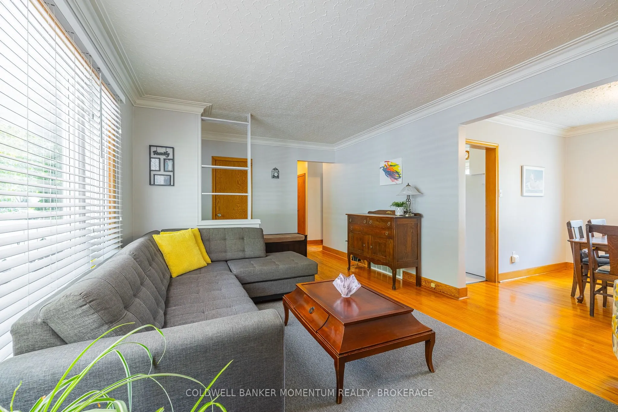 11 Roxanne Drive