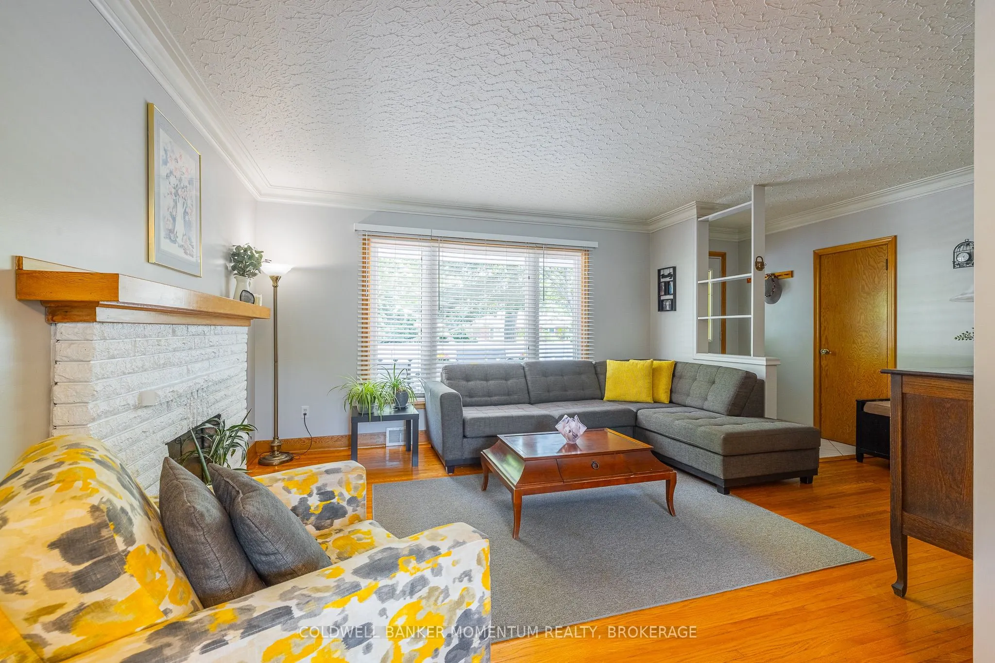 11 Roxanne Drive