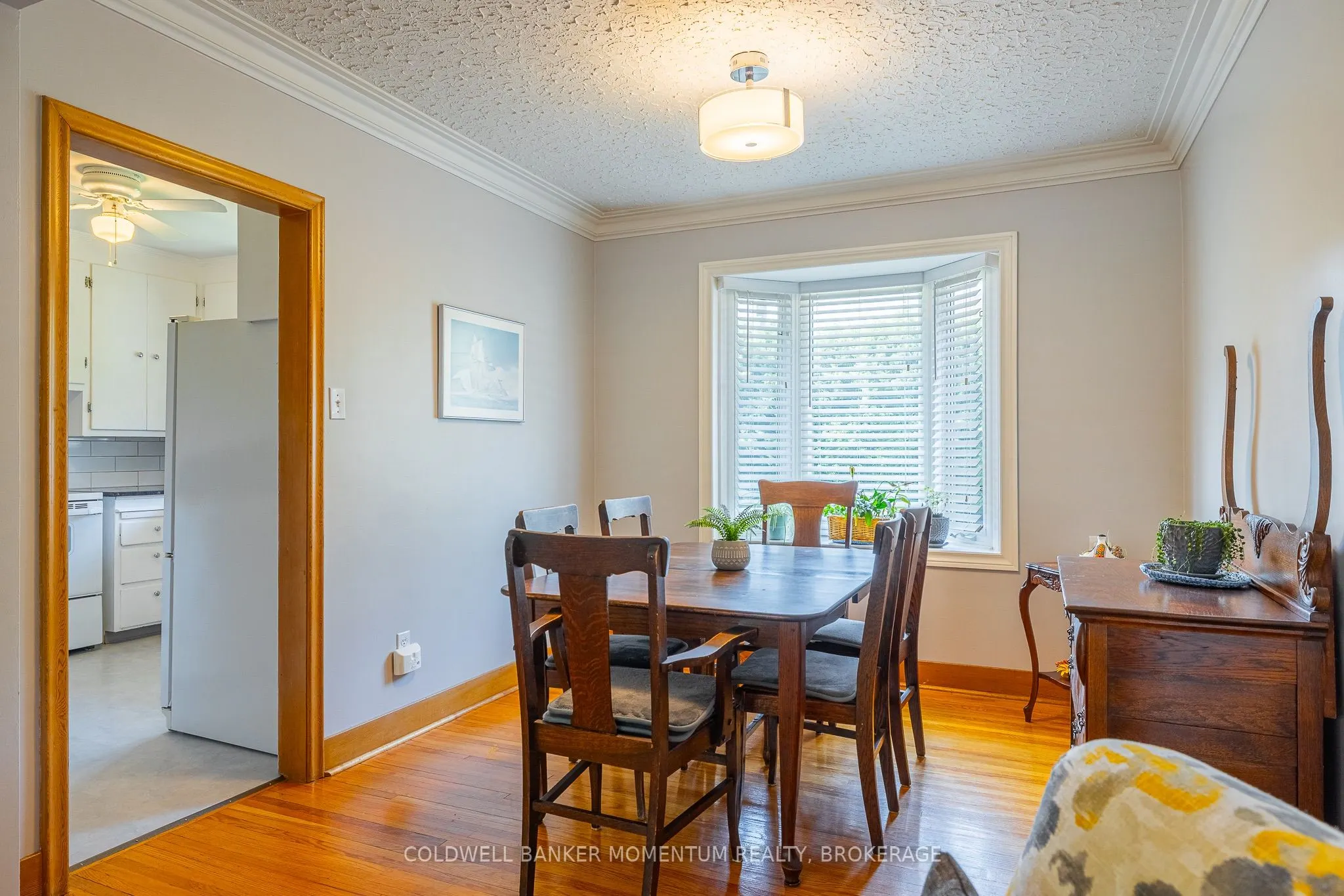 11 Roxanne Drive
