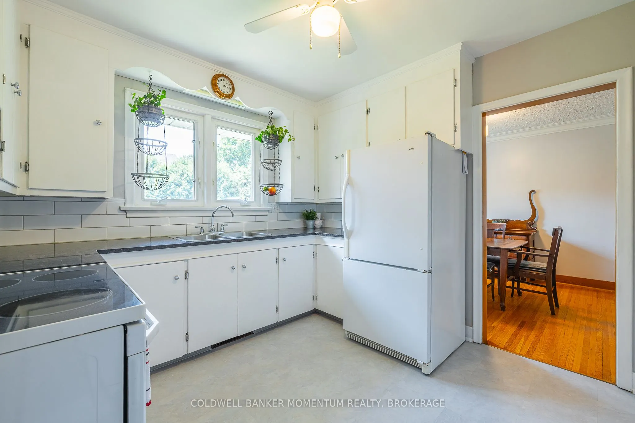 11 Roxanne Drive