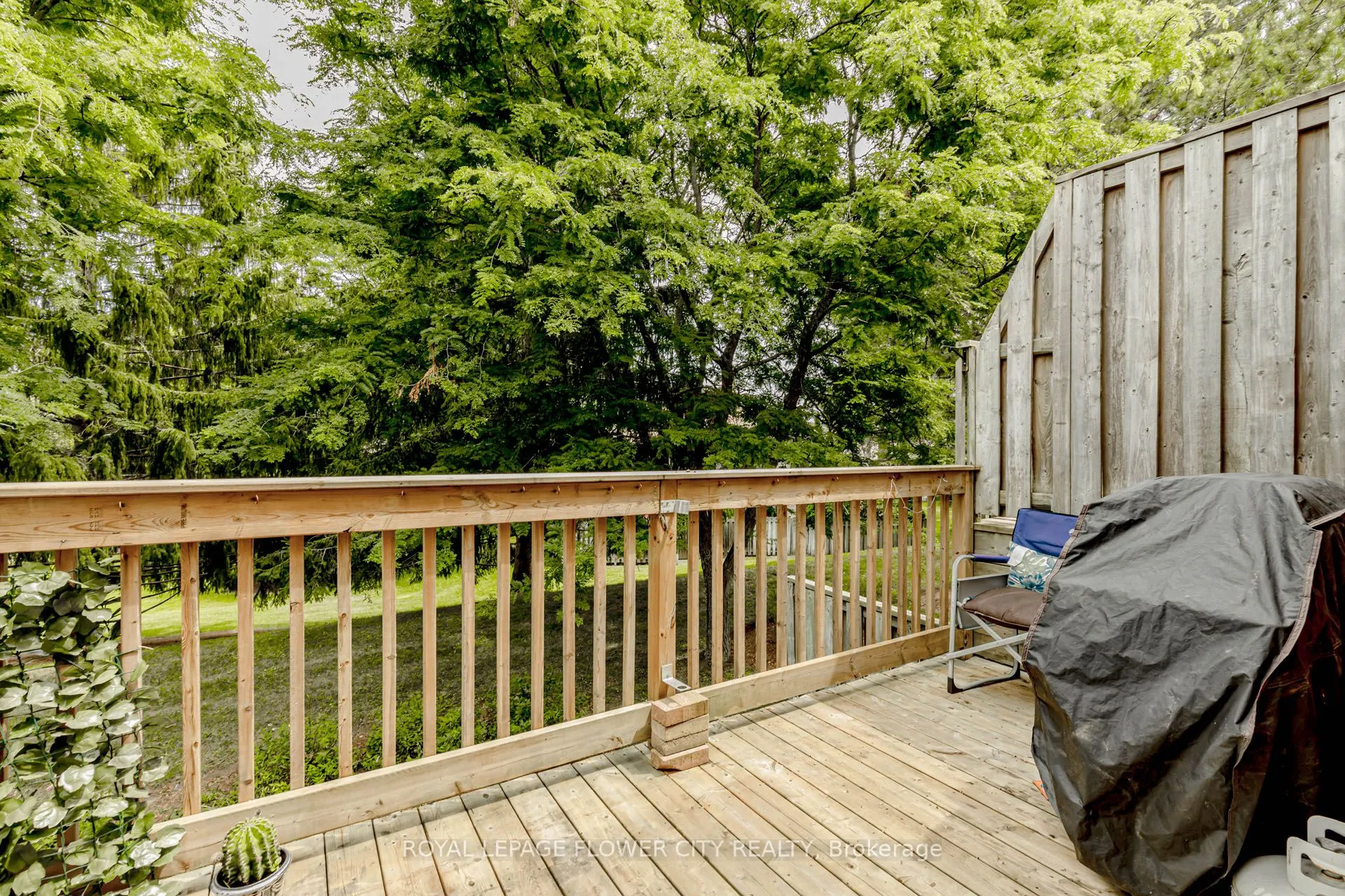 523 Beechwood Drive, #4