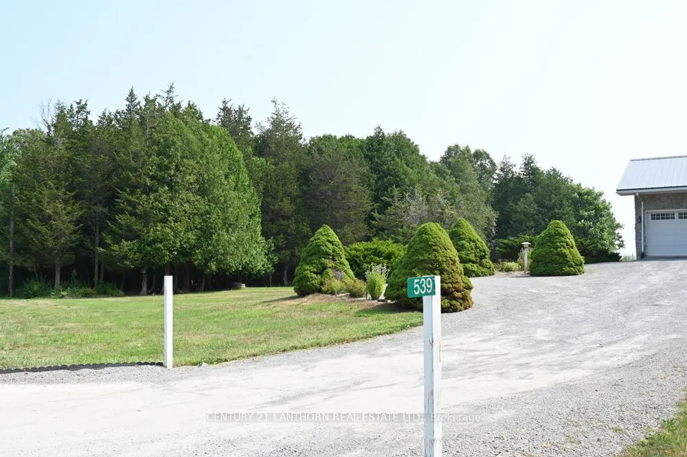 539 Shannon Road
