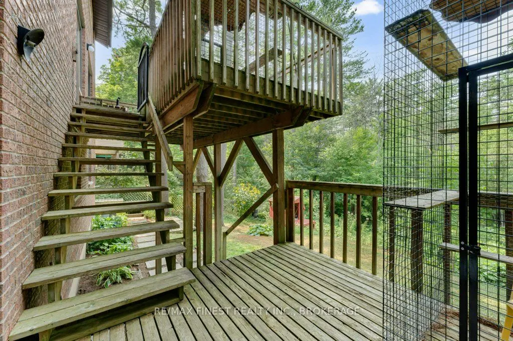 871 Safari Drive