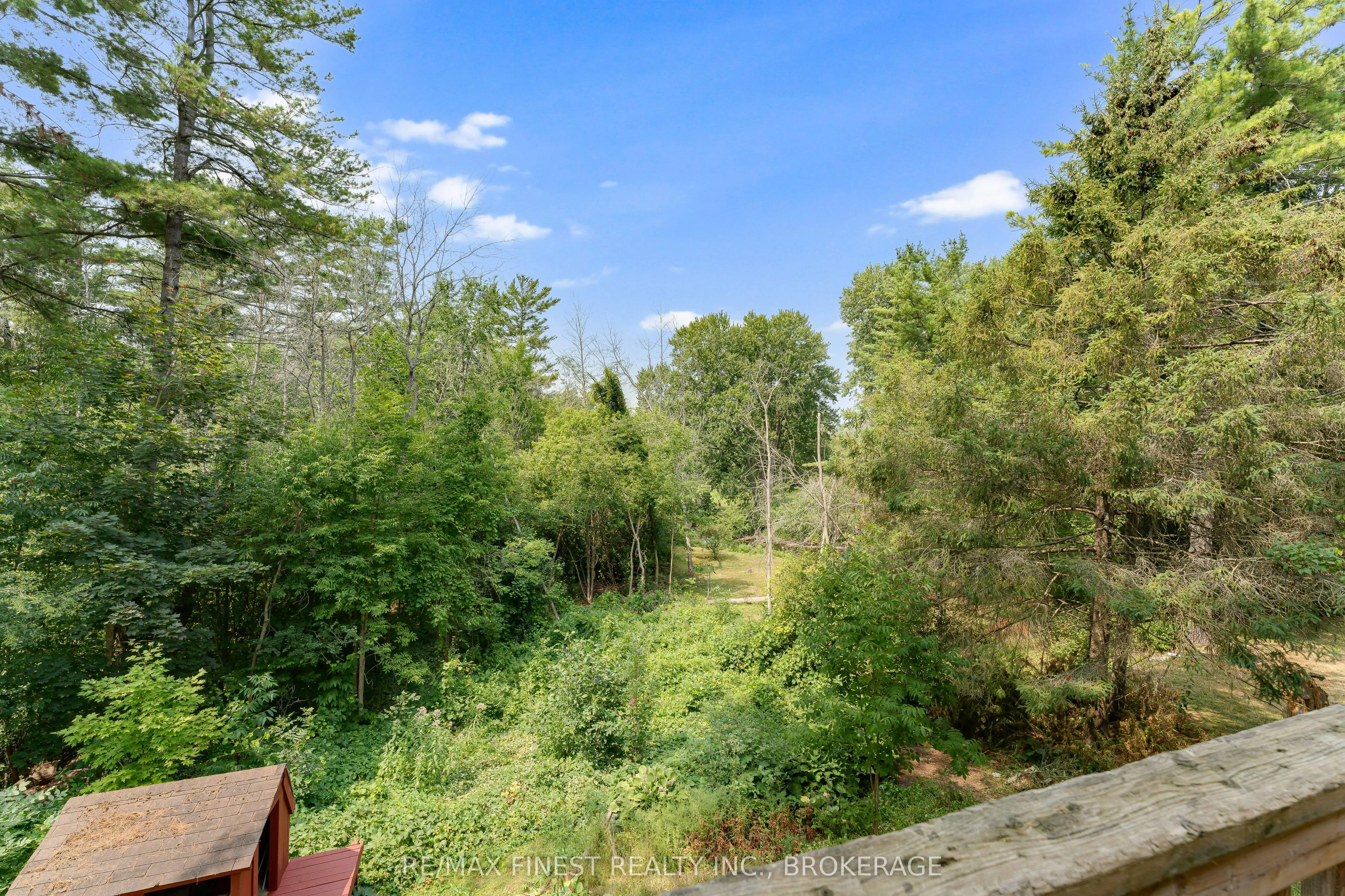 871 Safari Drive