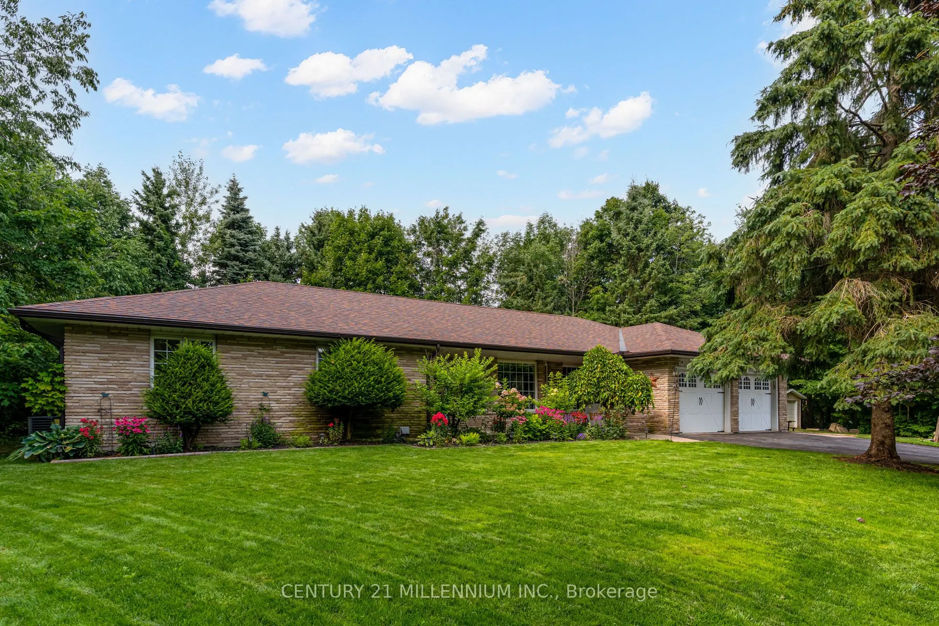 101 Birch Grove