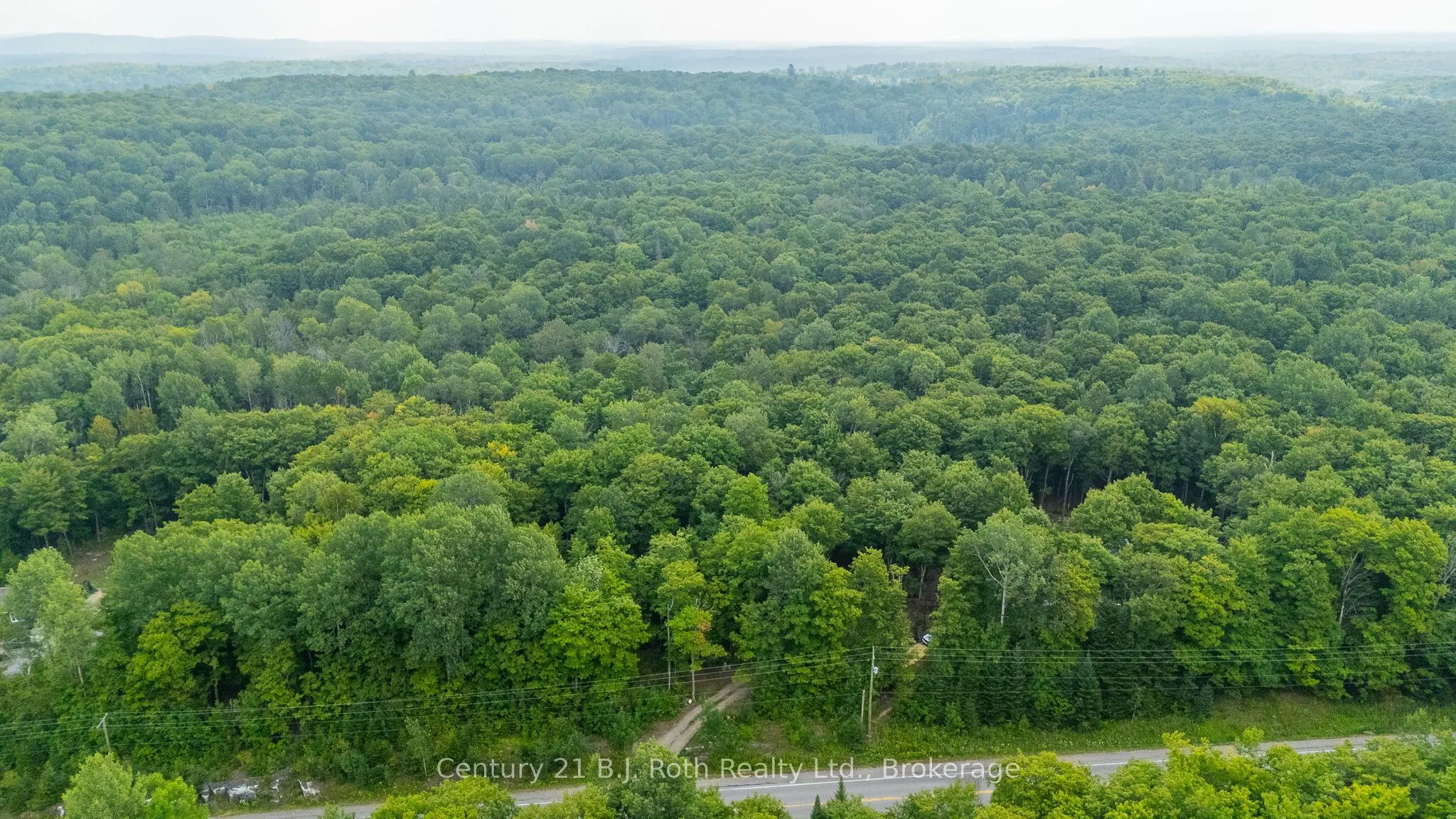 12664 Haliburton County Road 503