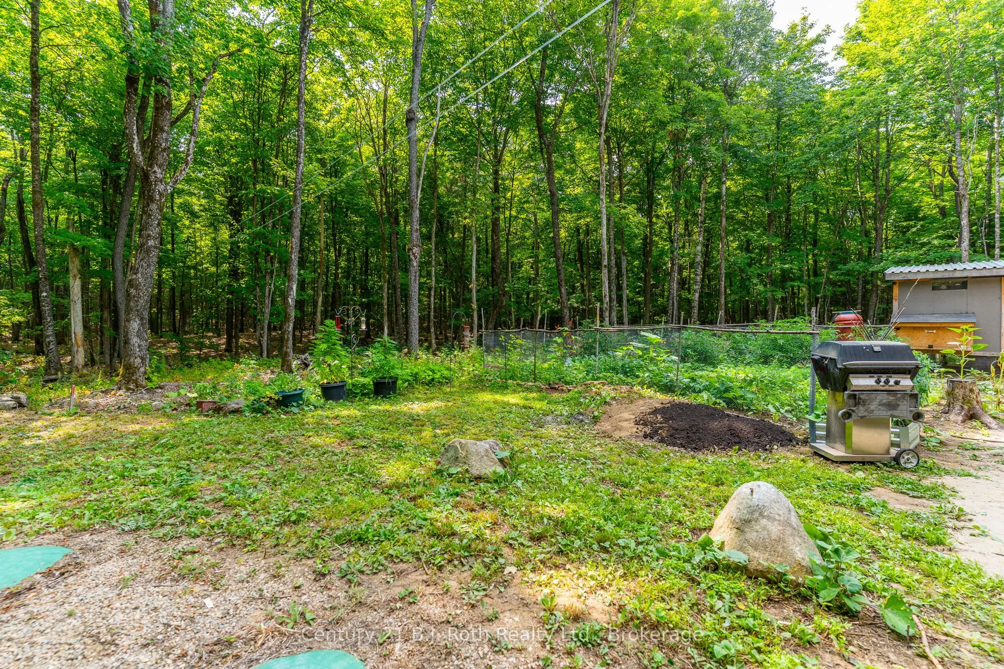 12664 Haliburton County Road 503