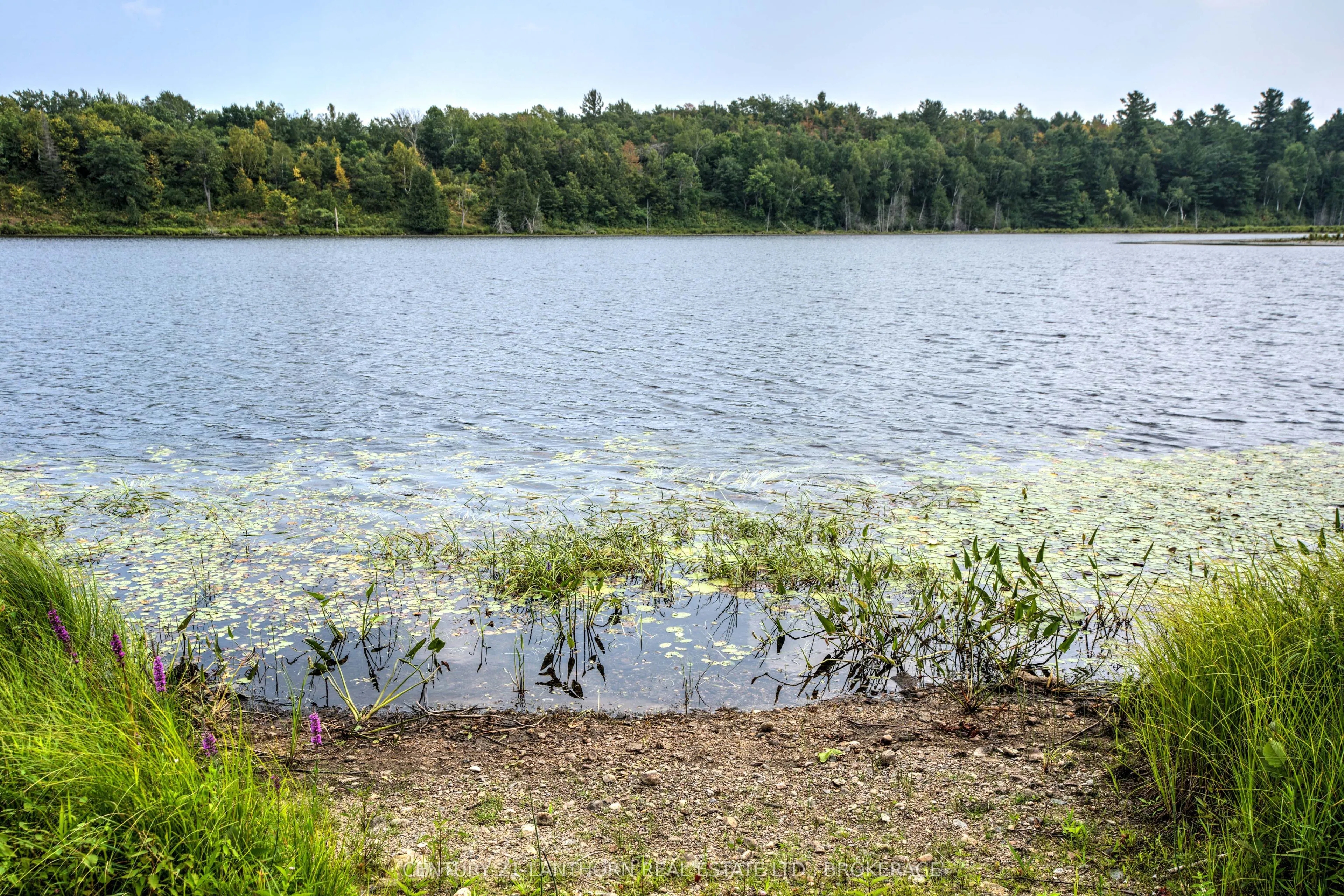2905 County Rd 15 Road